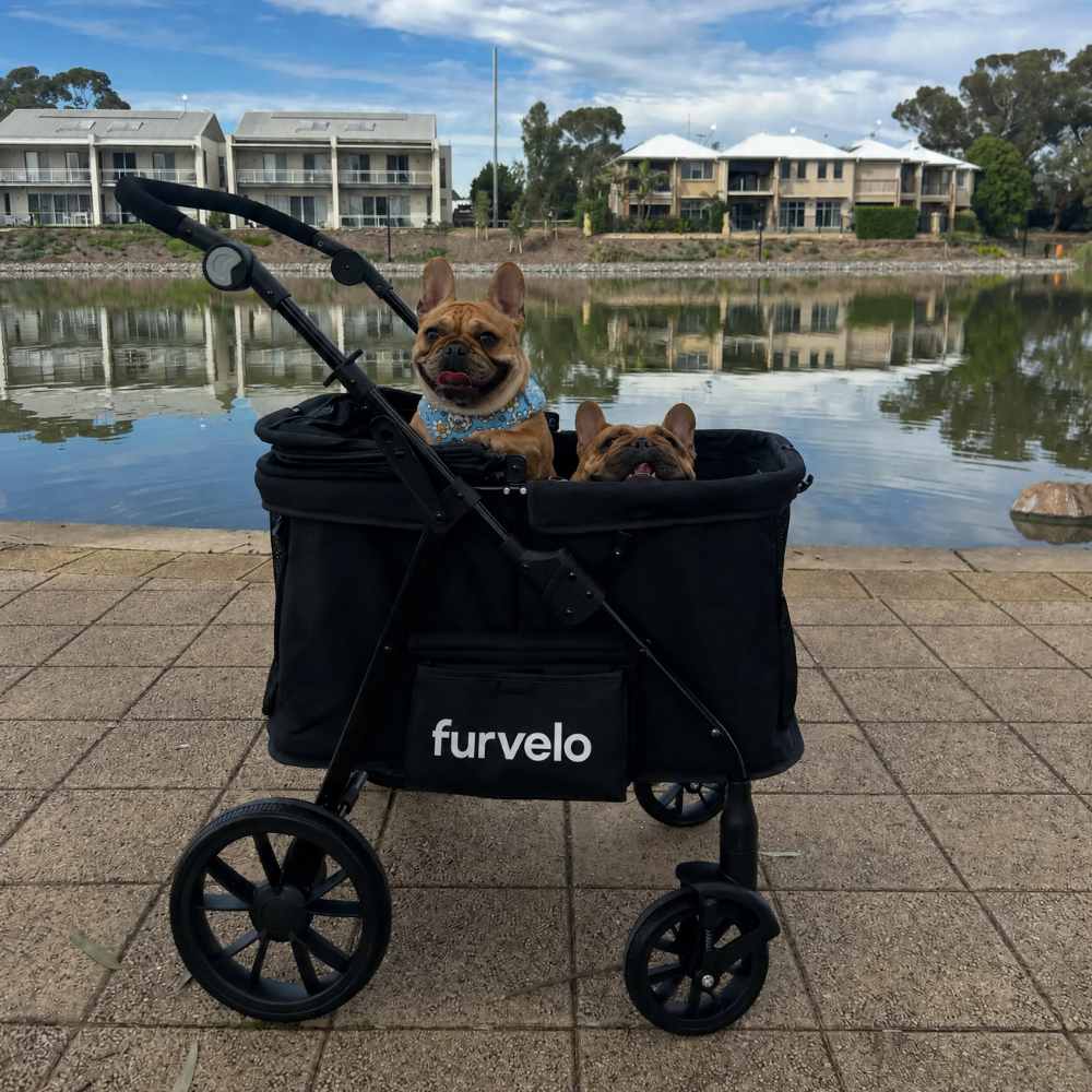 Furvelo Wagon