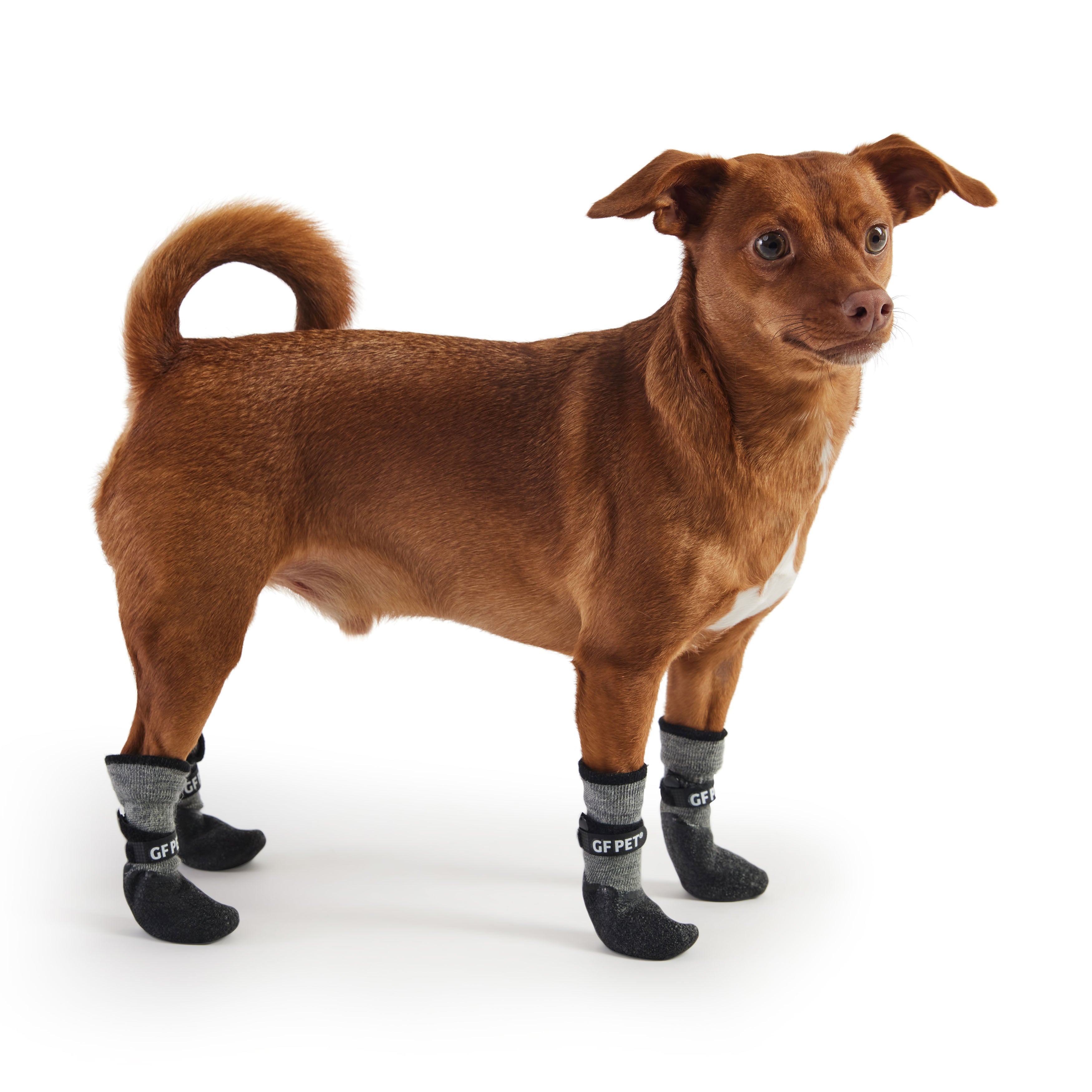 GF Pet All Terrain Boots - Charcoal - XS