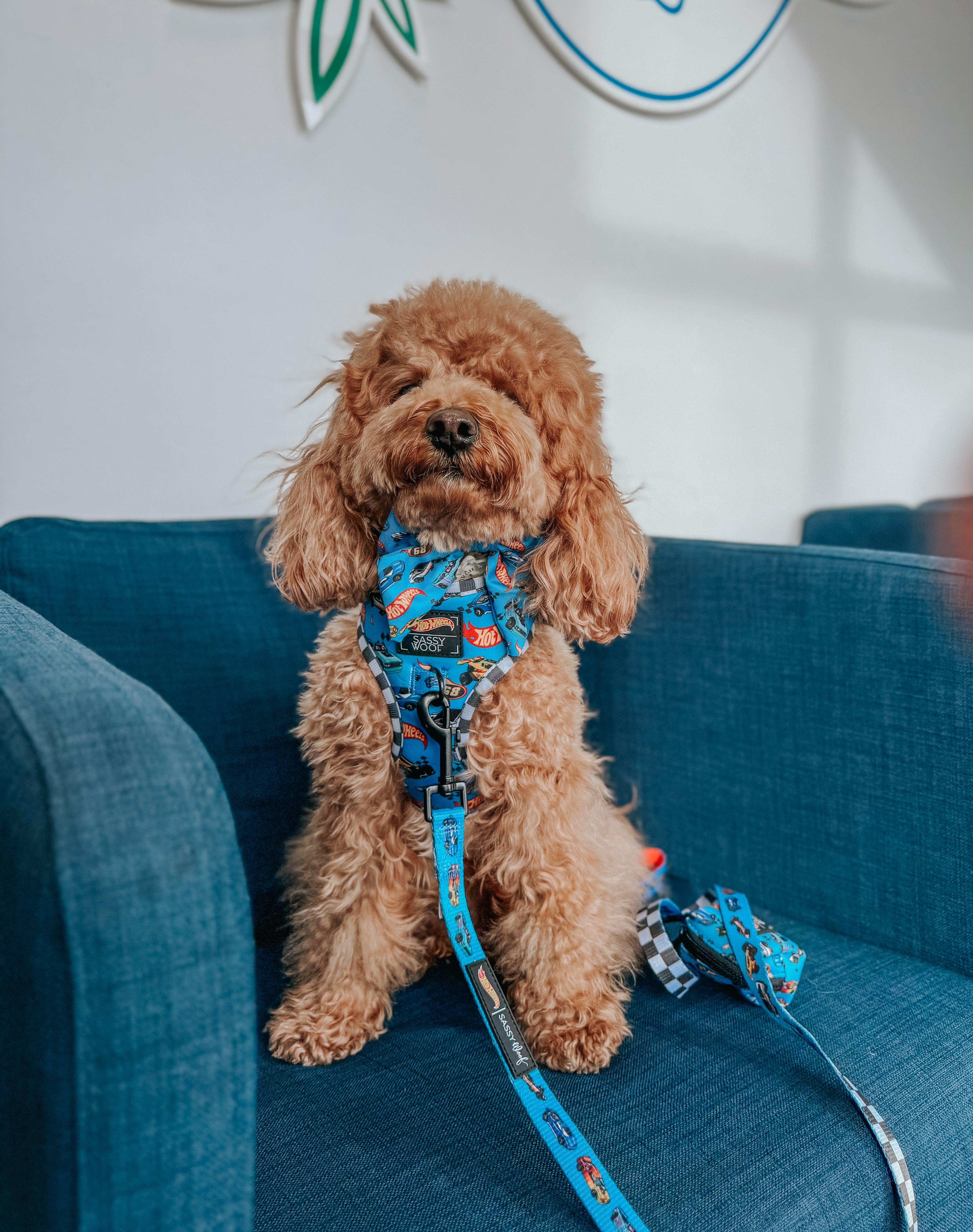 Dog Leash - Hot Wheels™