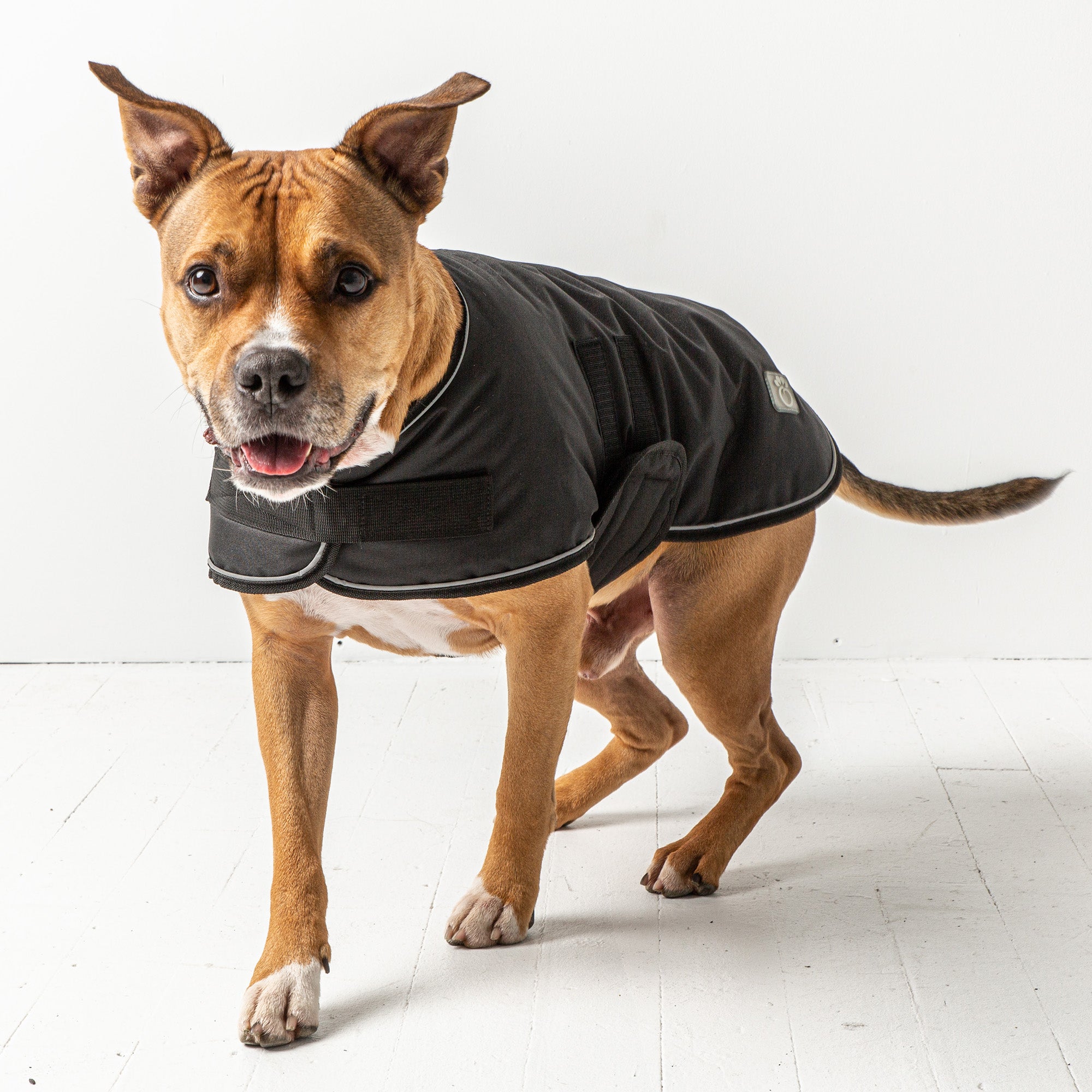 Gf Pet Blanket Jacket Dog Coat – Soft & Cozy Dog Jacket For Dogs | Warm Sherpa Lining | Stylish Winter Coat | For Breeds Small, Medium, Or Large – Black - S