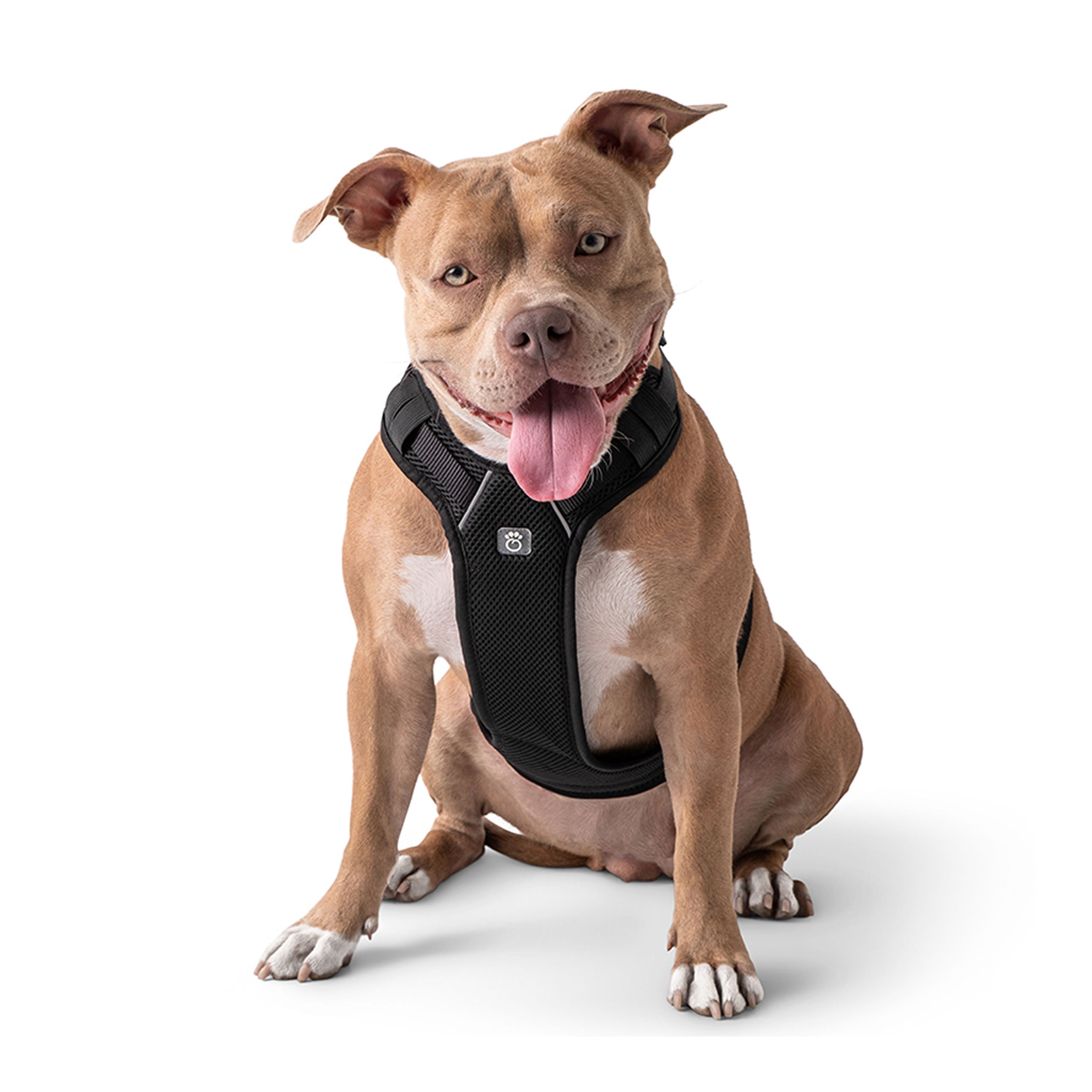 Gf Pet Travel Harness - Black - Xl