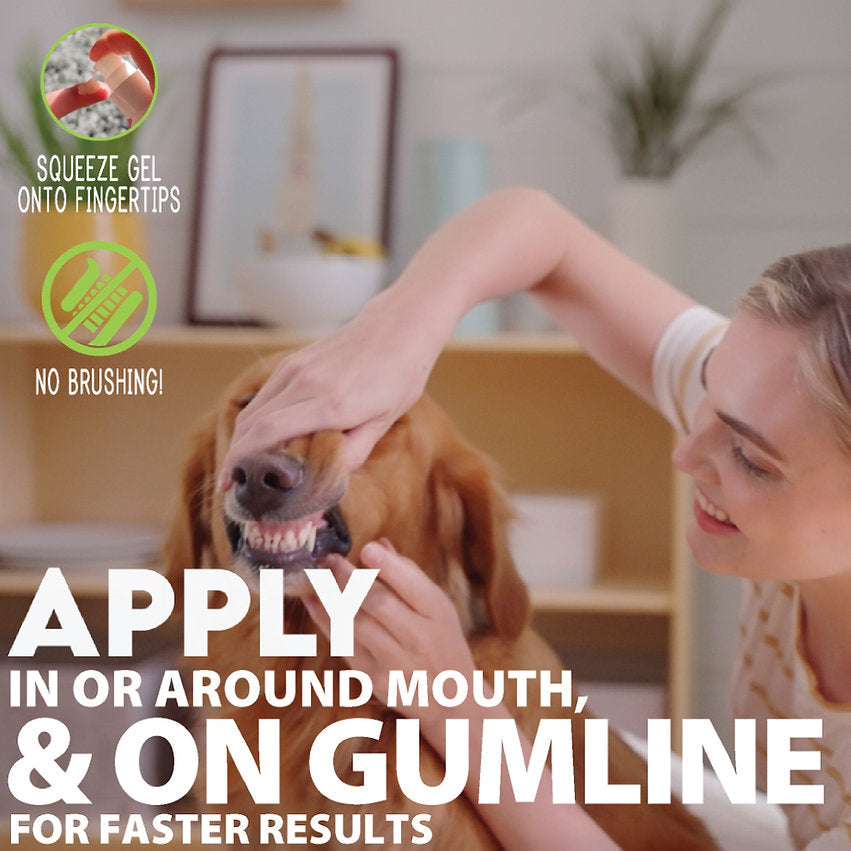 Oral Care Gel - Salmon