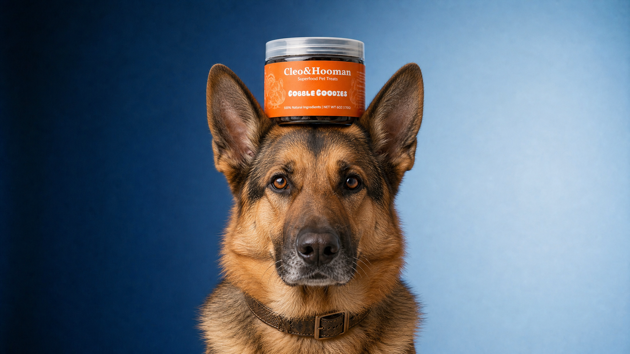 Gobble Goodies — Superfood Pet Treats