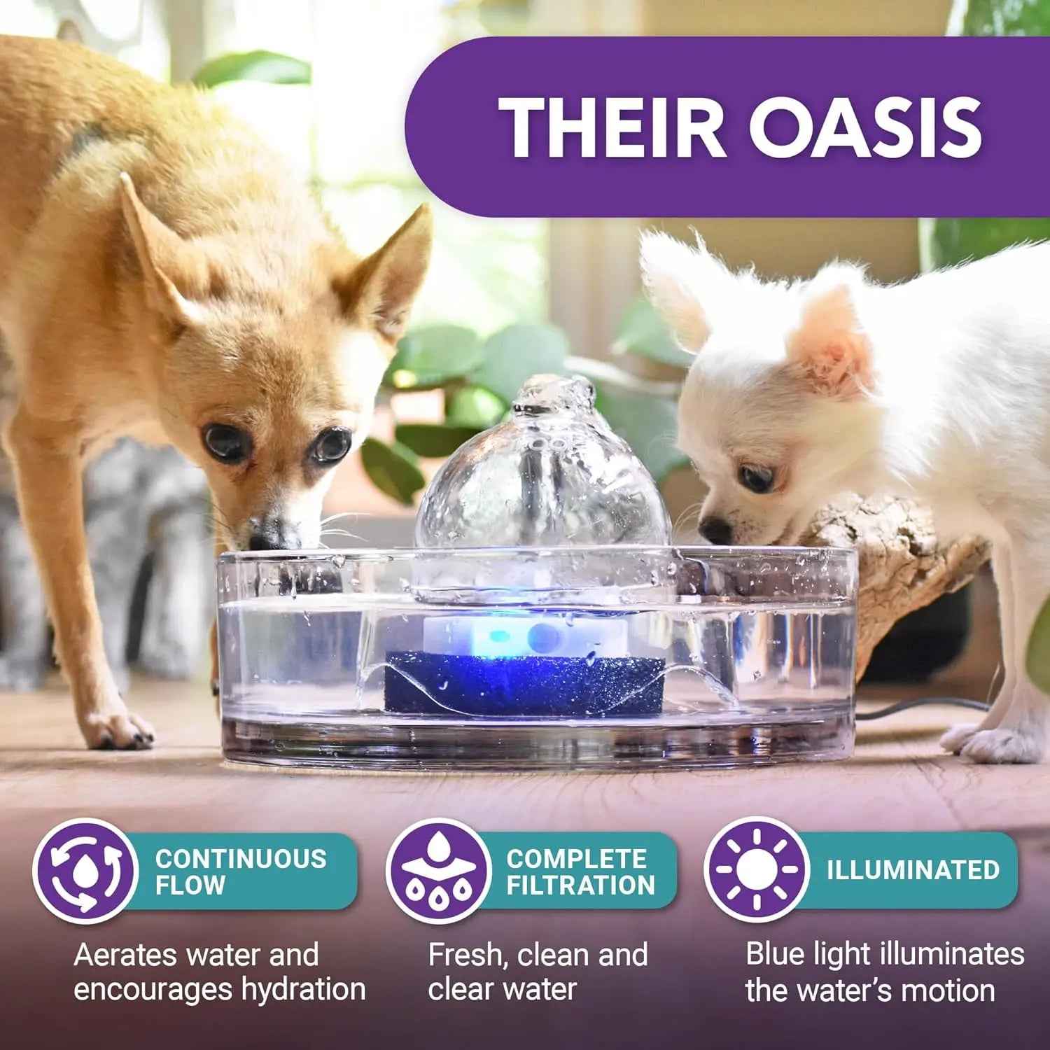 Glass Pet Water Fountain for Cats & Small Dogs