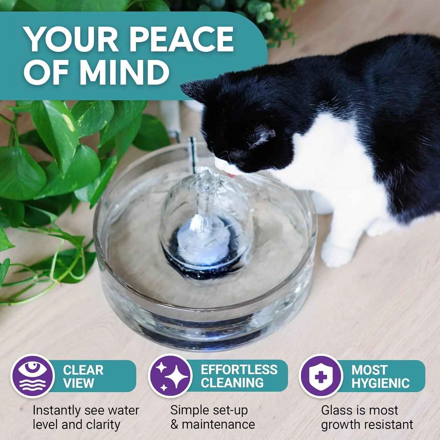 Glass Pet Water Fountain for Cats & Small Dogs