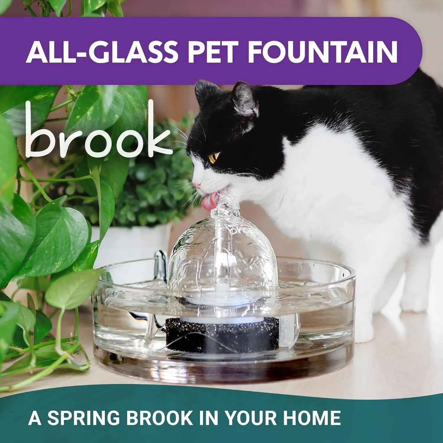 Glass Pet Water Fountain for Cats & Small Dogs