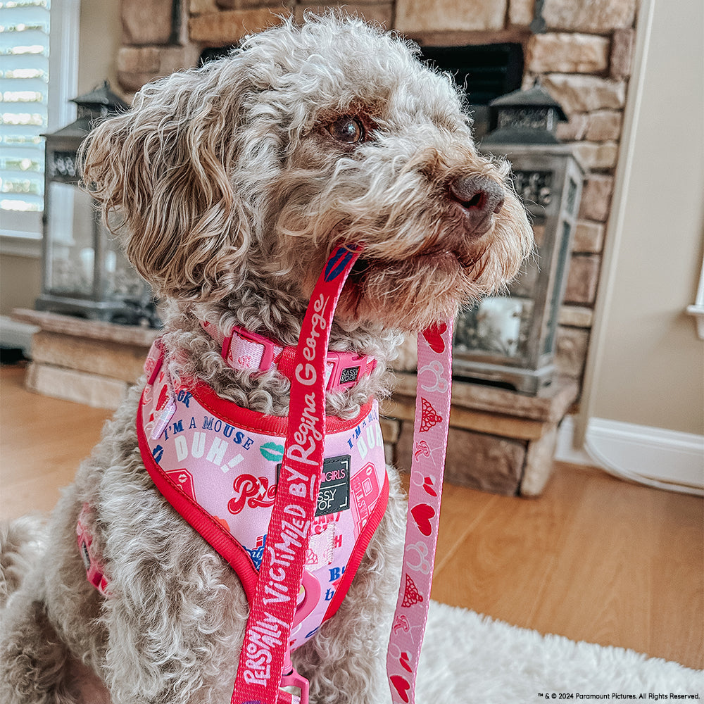 Dog Leash - Mean Girls™
