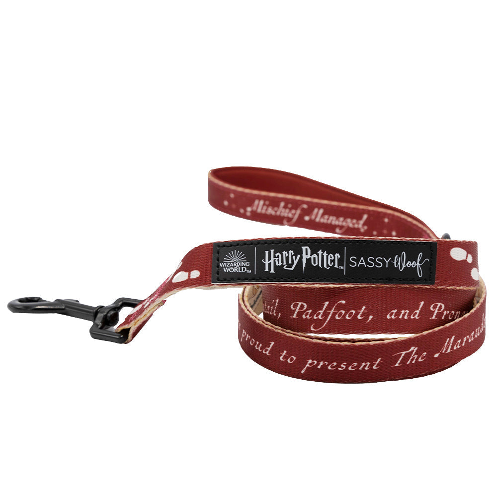 Dog Leash - Harry Potter Marauder's Map