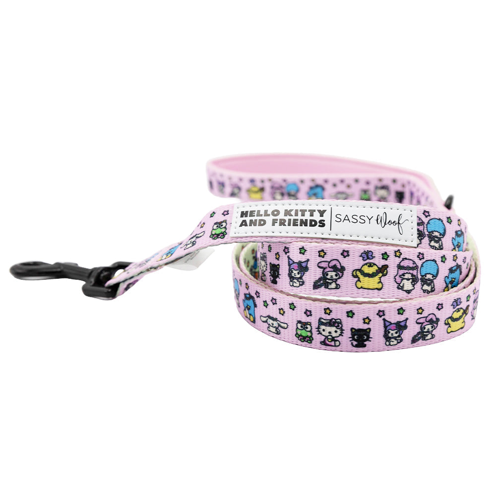 Dog Leash - Hello Kitty® & Friends Flower Festival