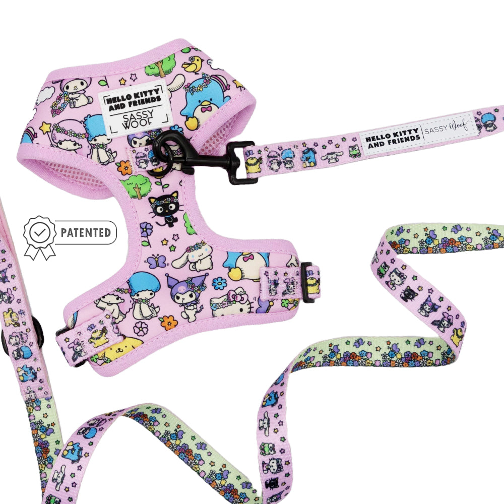 Dog Two Piece Bundle - Hello Kitty® & Friends Flower Festival