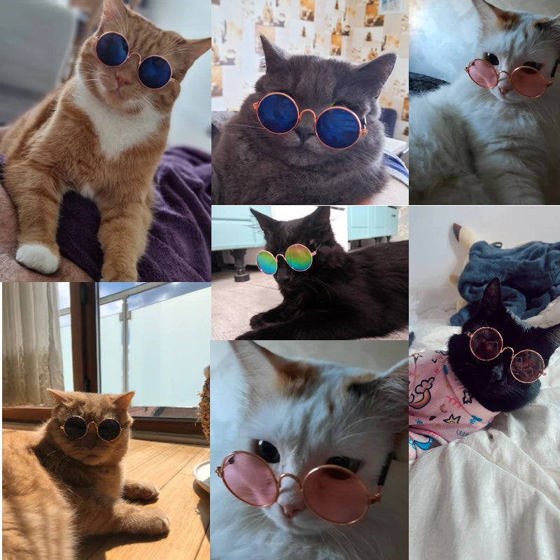 Pet Cat Glasses Dog Pet Product Glasses For Cat Little Dog Toy Eye-Wear Sunglasses Photos Props Pet Cat Accessories Shipping 24h
