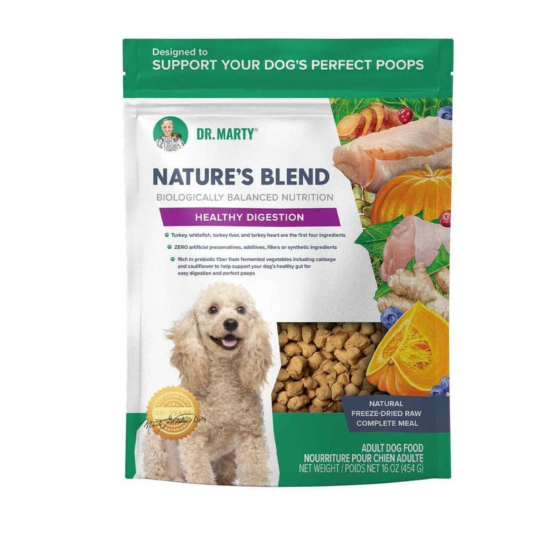 Nature's Blend Healthy Digestion for Dogs by Dr Marty