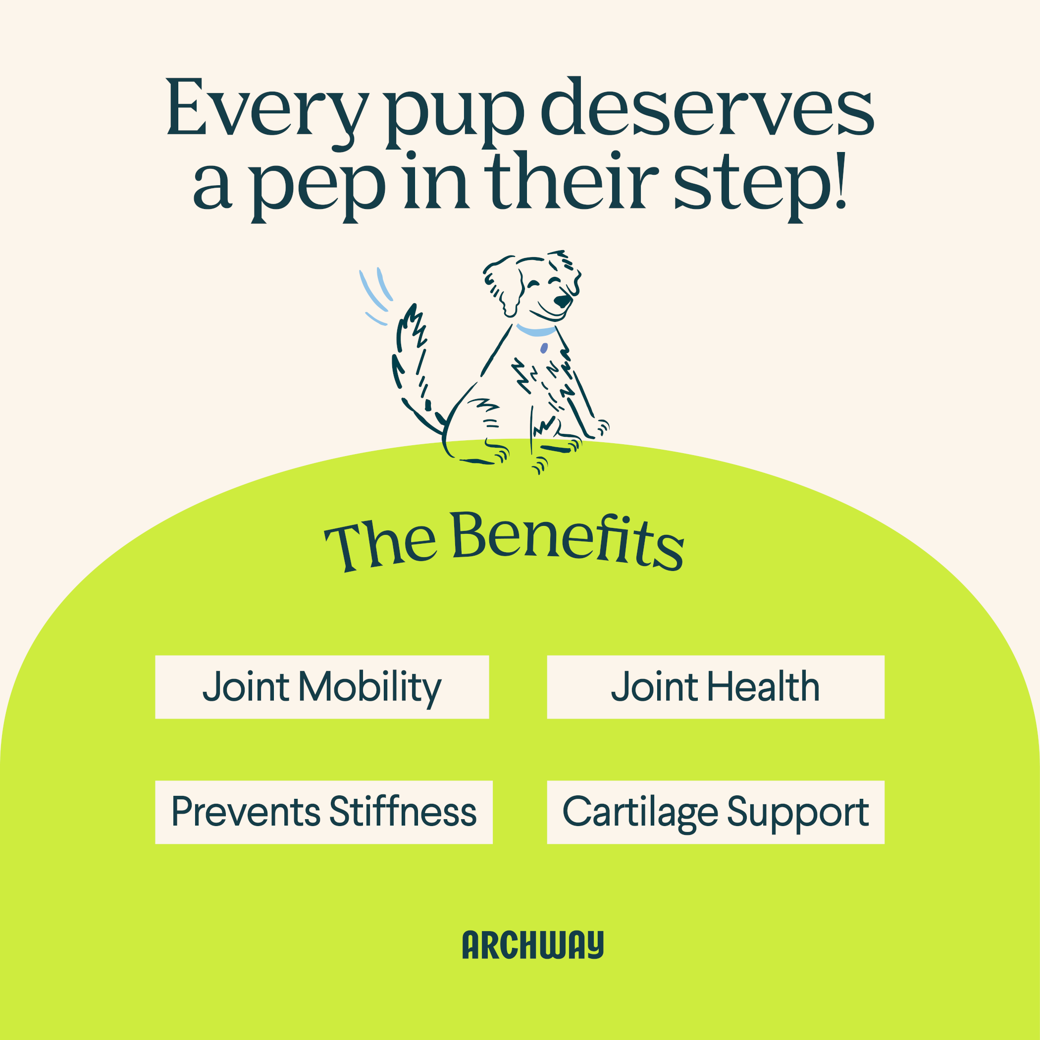 Hip & Joint Health