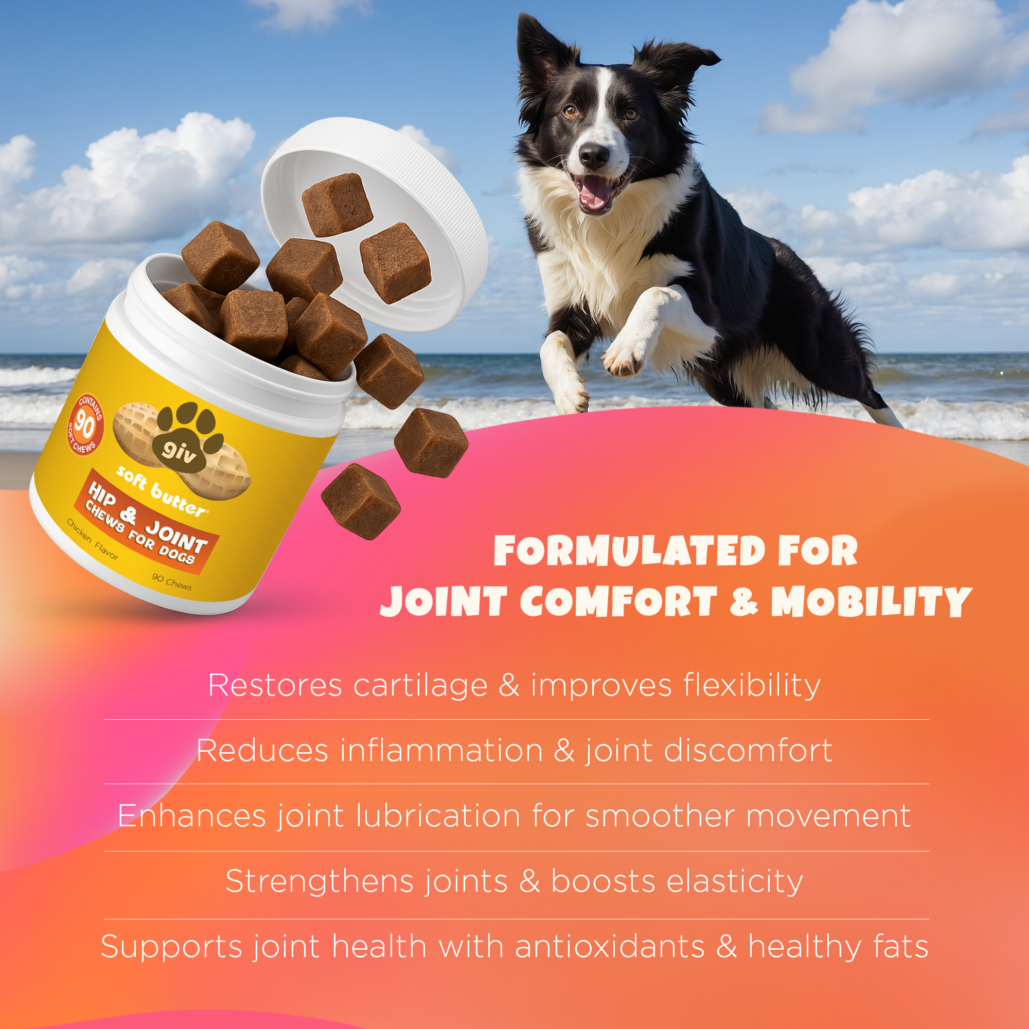 Hip & Joint Chews for Dogs (90 Count Jar)
