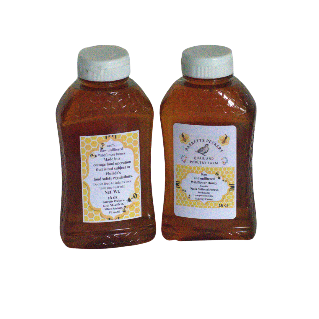 Raw and unfiltered  Wildflower Honey from the Ocala National Forest