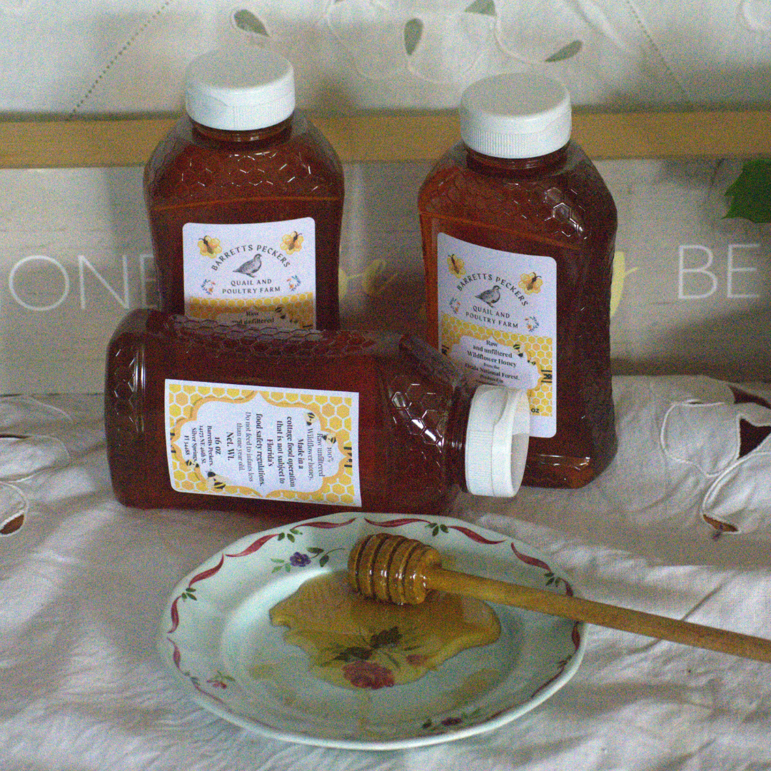 Raw and unfiltered  Wildflower Honey from the Ocala National Forest