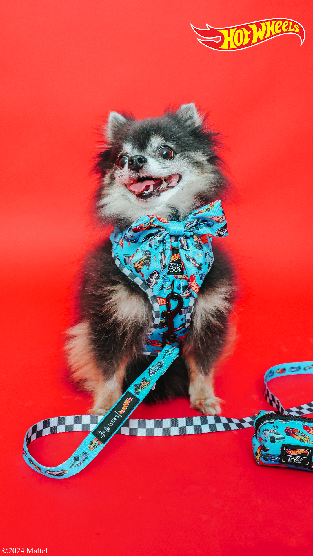 Dog Leash - Hot Wheels™
