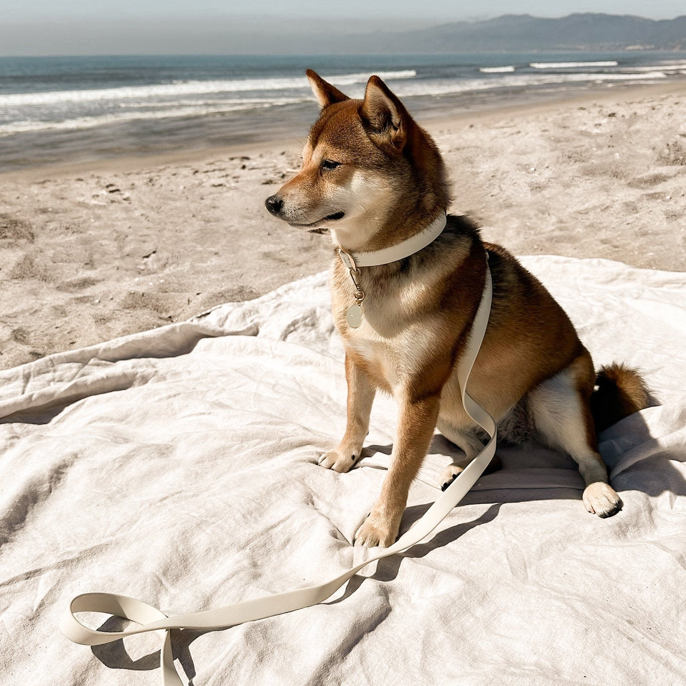 Fur Elise On-the-Go Walk Set - Bone