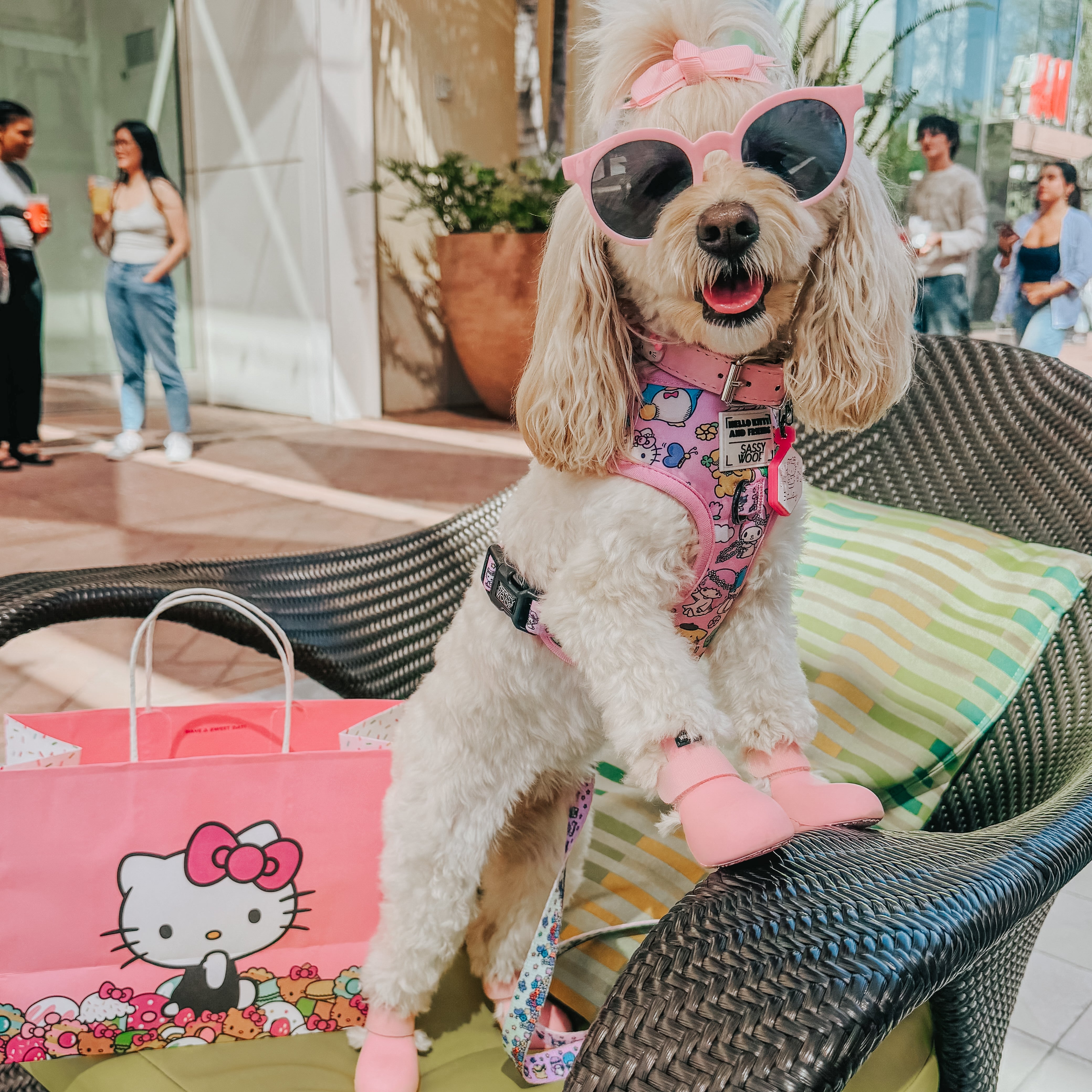 Dog Two Piece Bundle - Hello Kitty® & Friends Flower Festival
