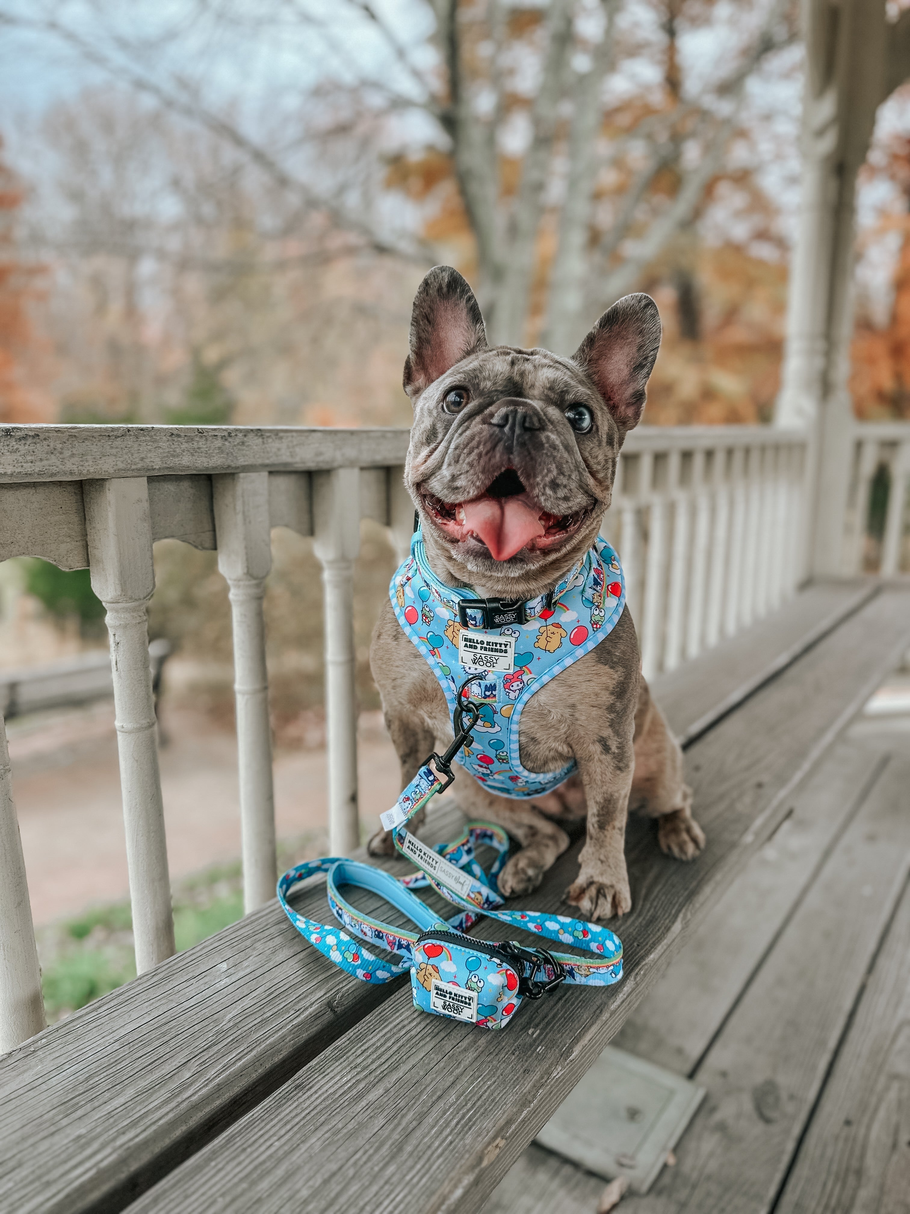 Dog Two Piece Bundle - Hello Kitty® & Friends In the Sky