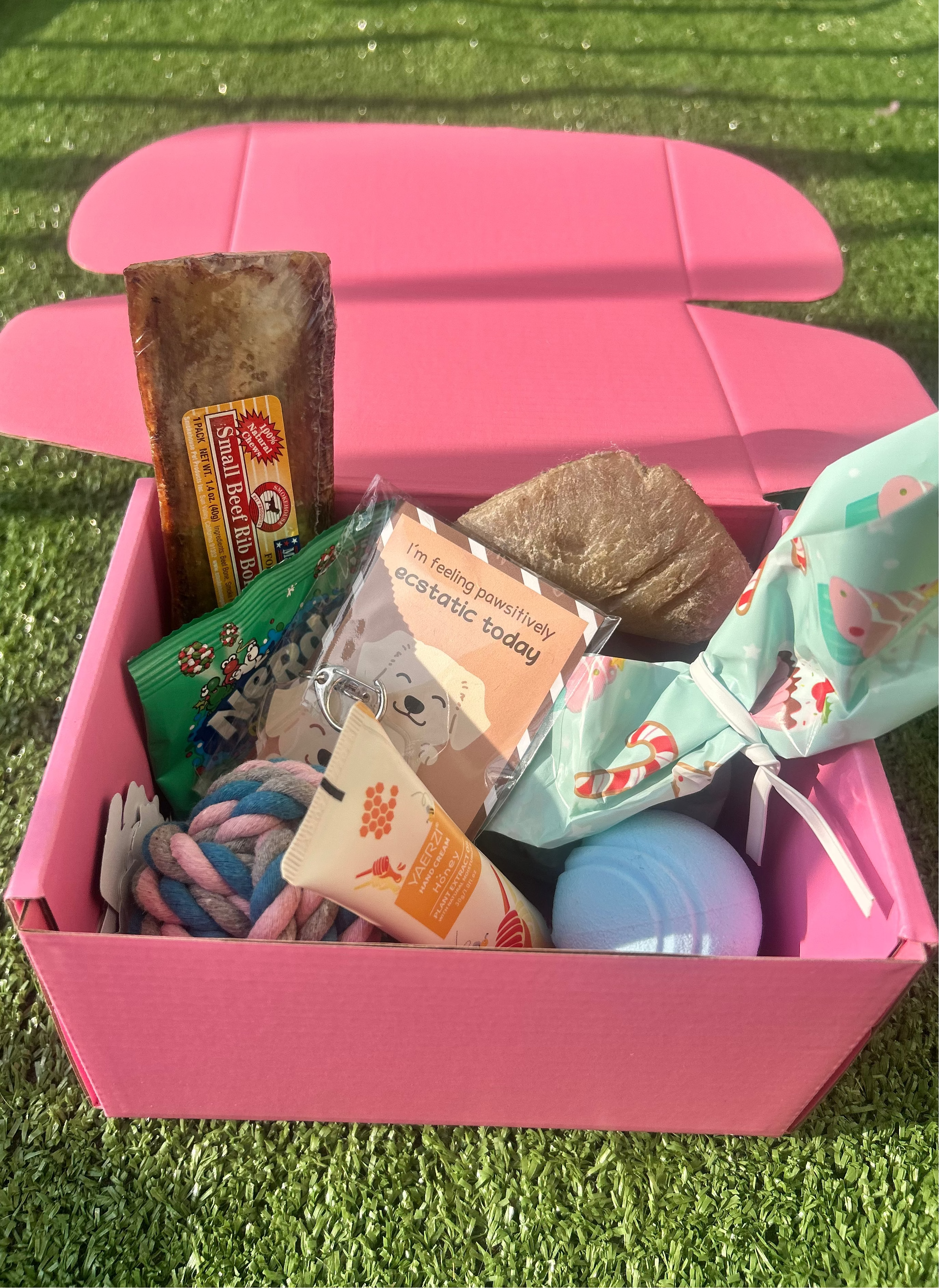 Pawliday Box