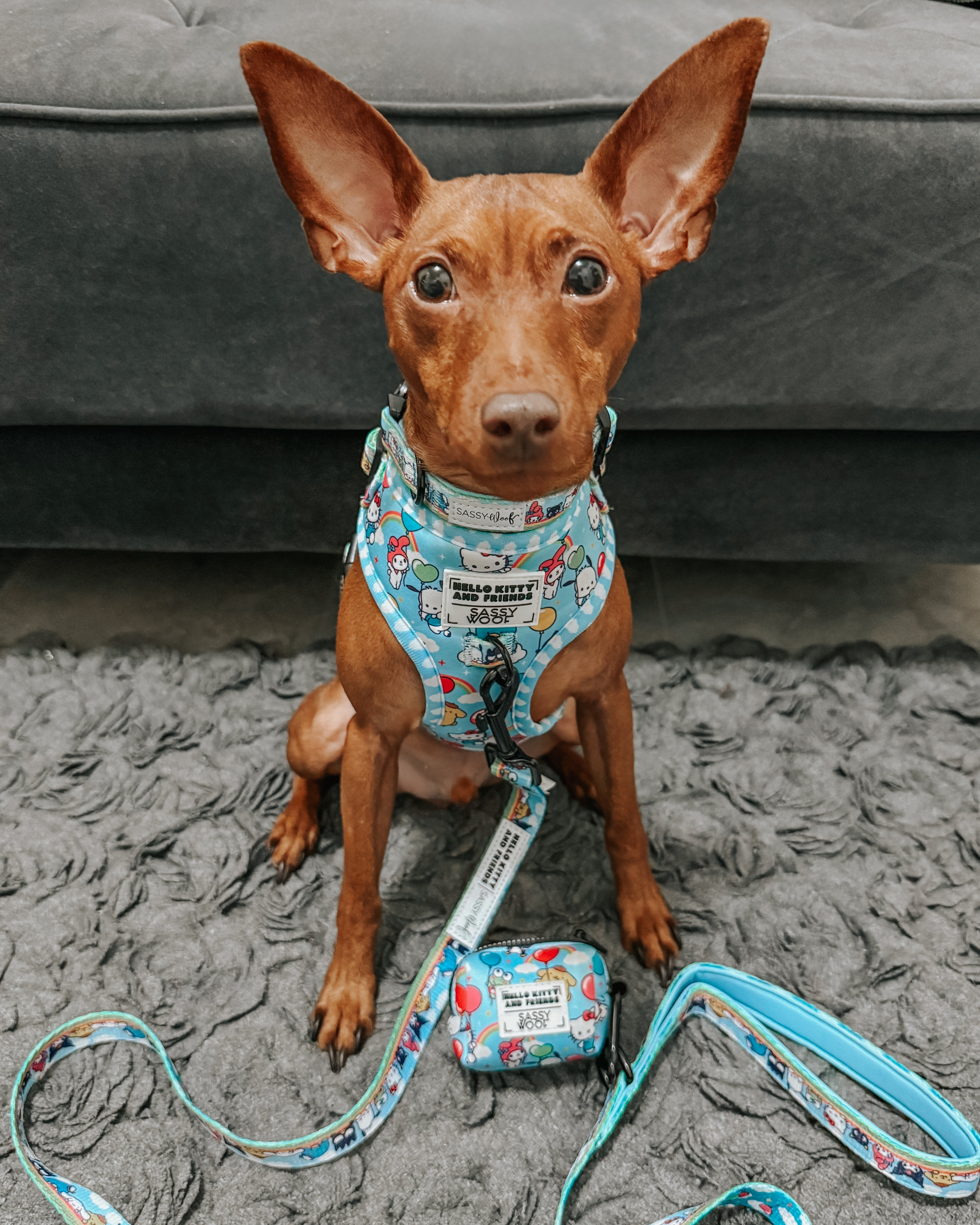 Dog Two Piece Bundle - Hello Kitty® & Friends In the Sky