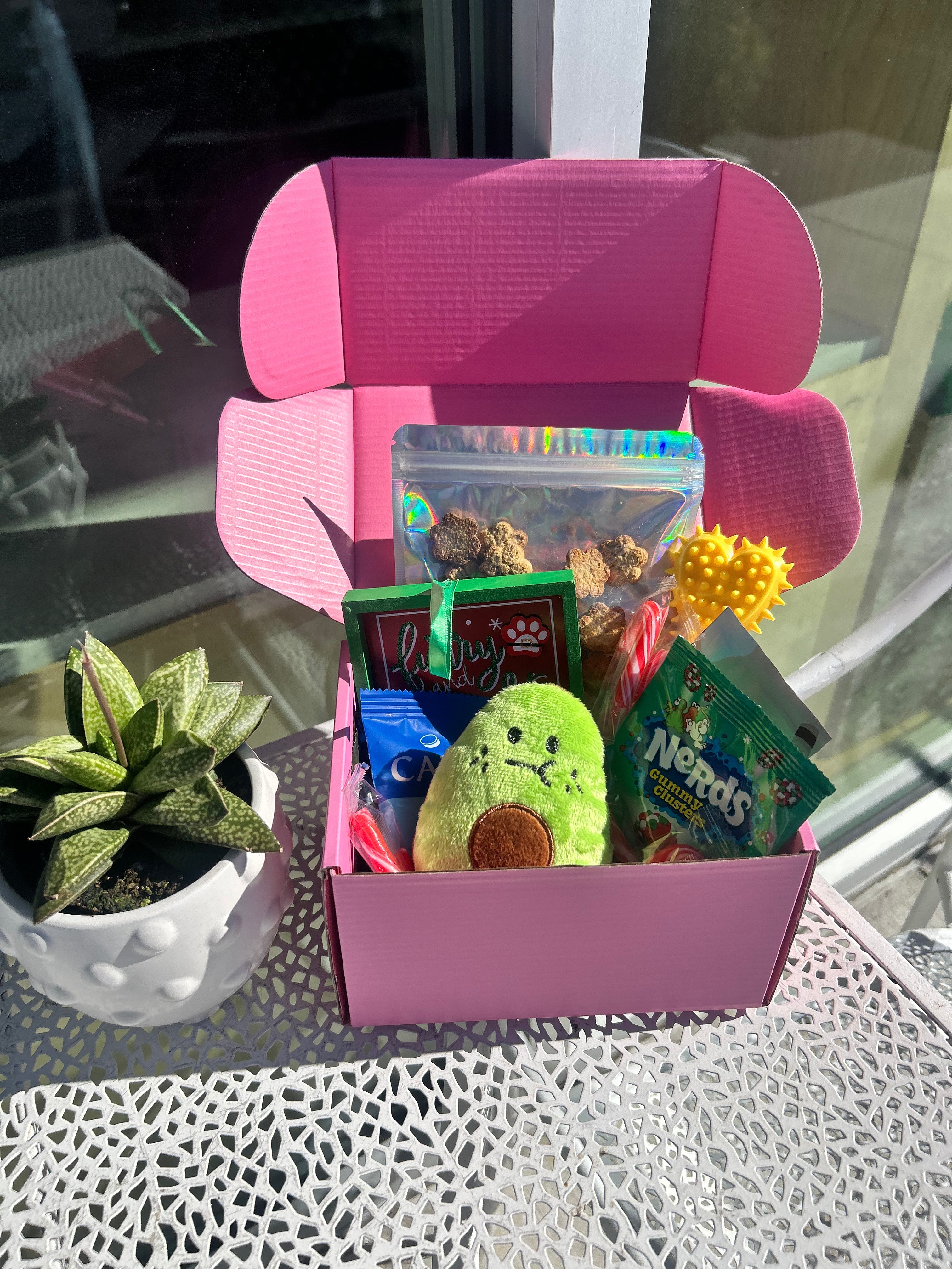 Pawliday Box
