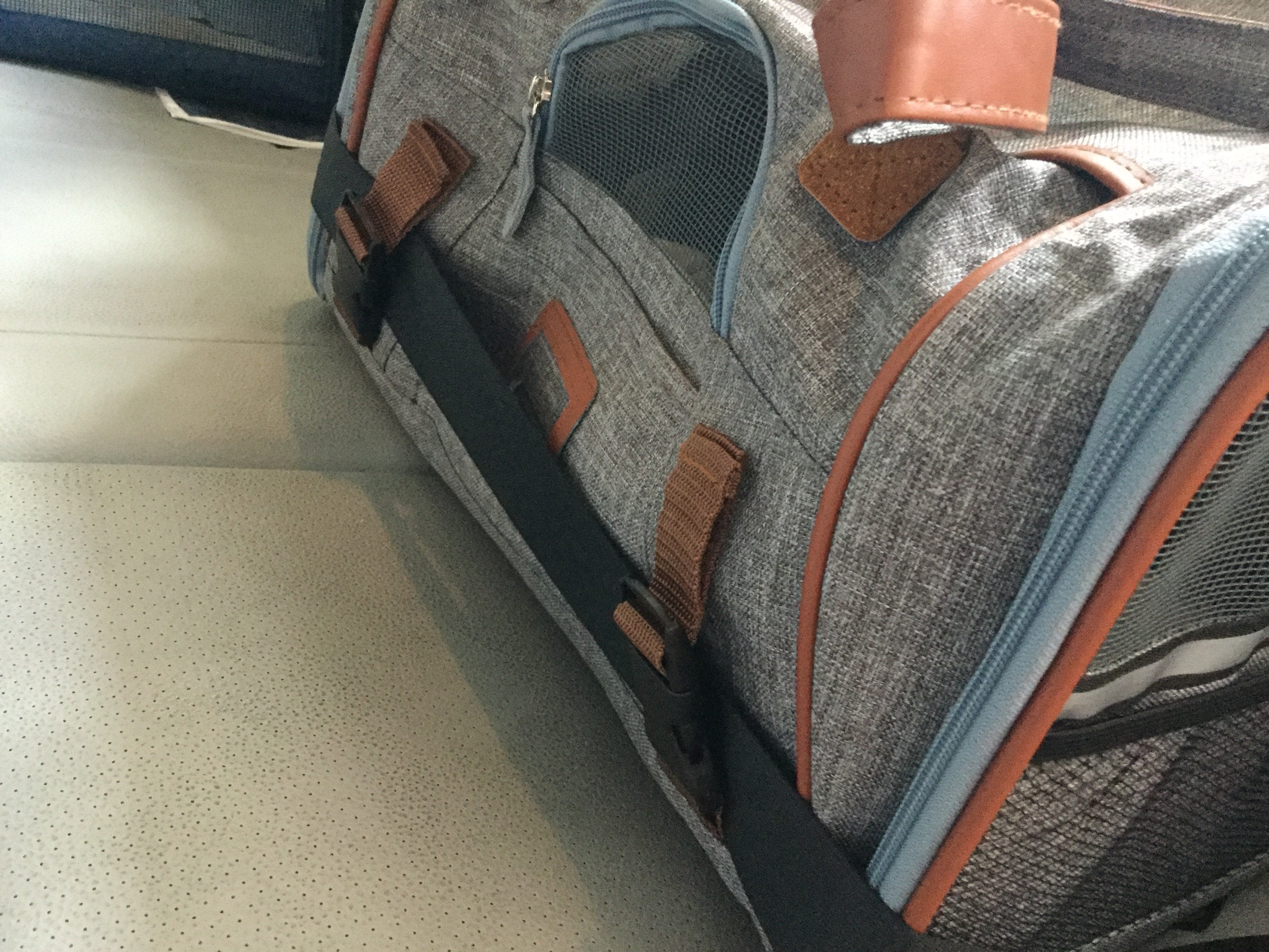 Mr. Peanut's Gold Series Big Apple XL Expandable Pet Carrier V2.0
