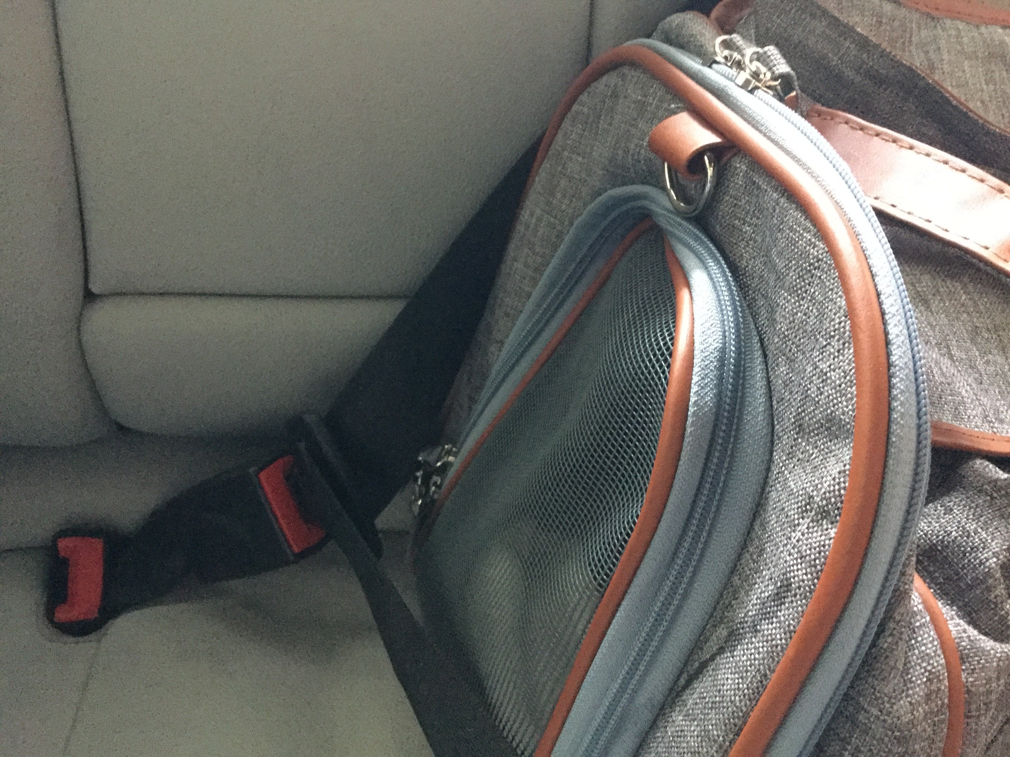 Mr. Peanut's Gold Series Big Apple XL Expandable Pet Carrier V2.0