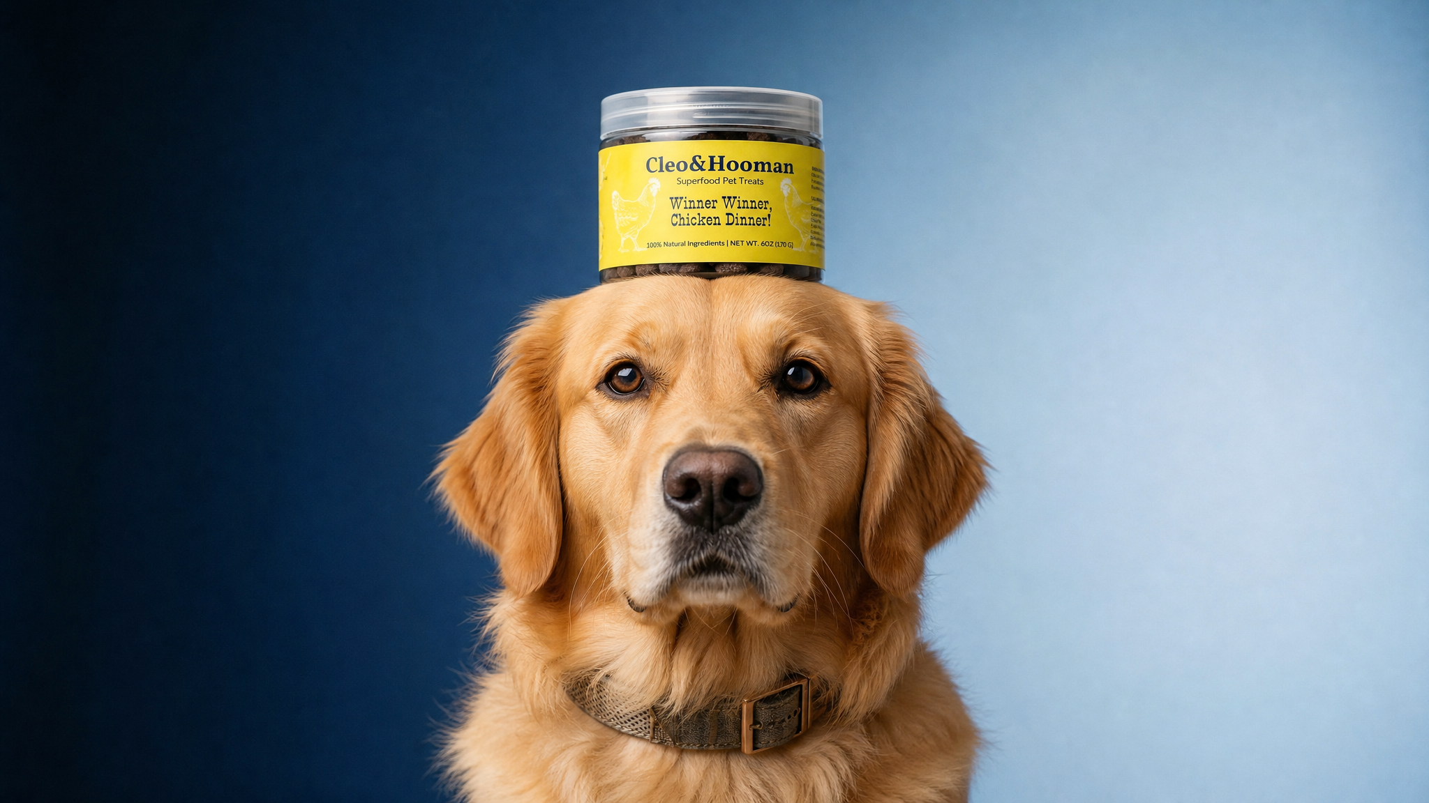 Winner, Winner, Chicken Dinner! — Superfood Pet Treats