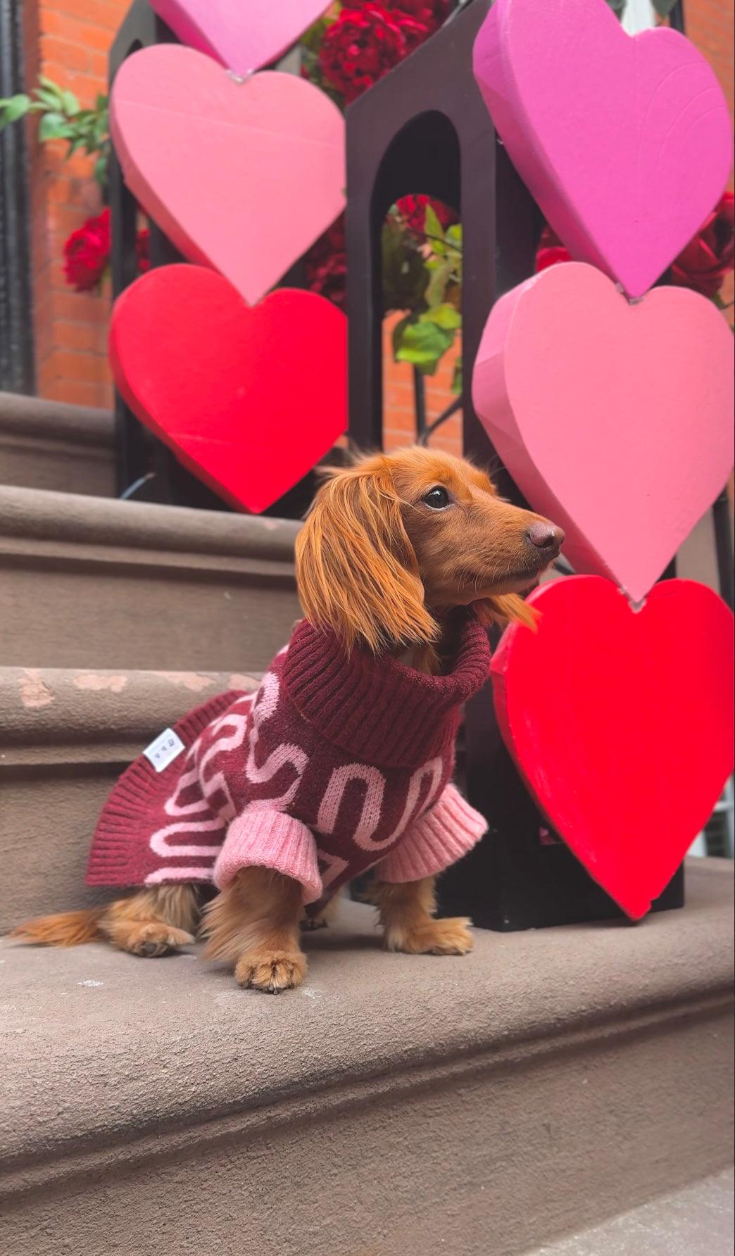 Rosé Bliss Sweater