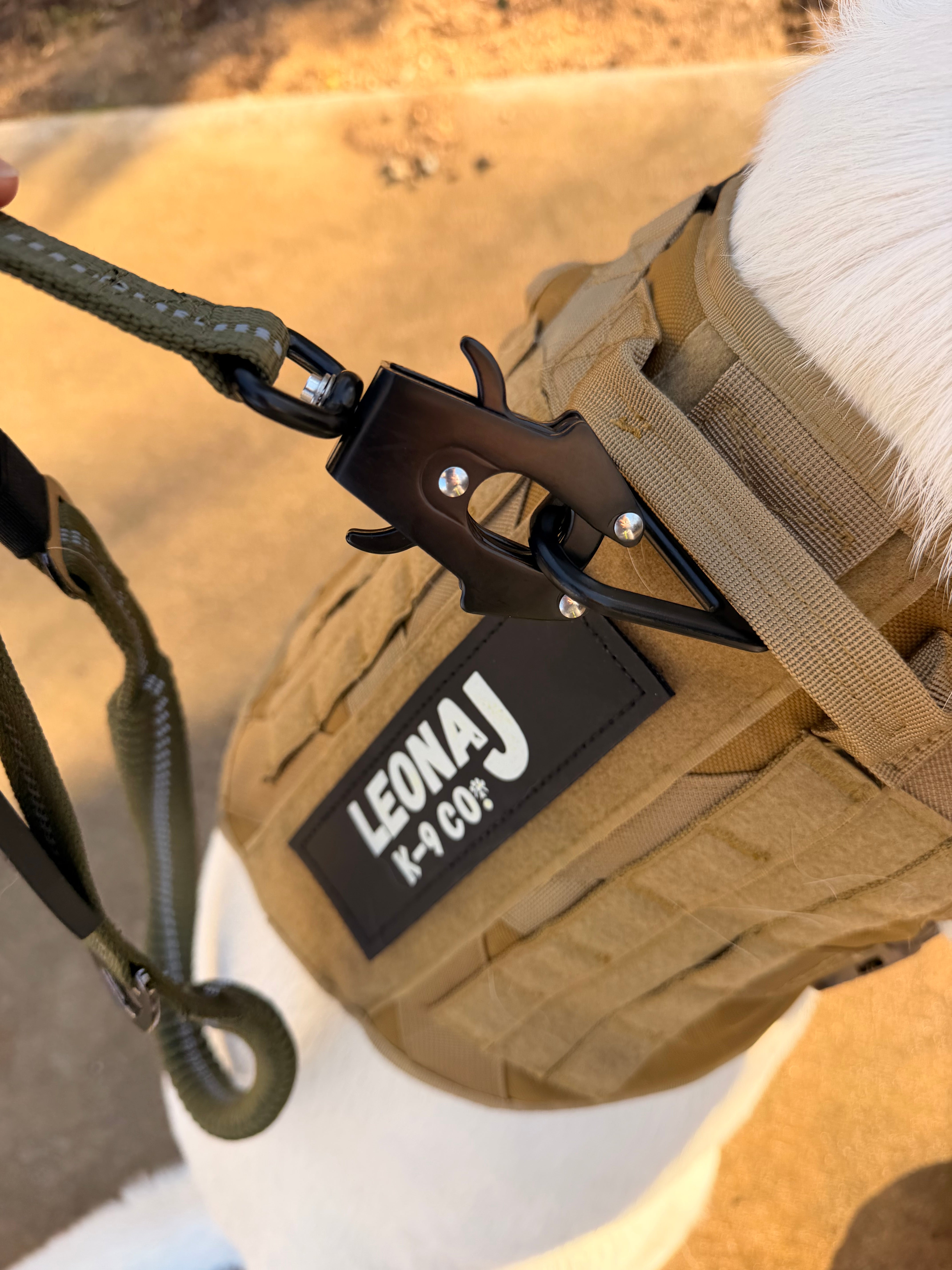 Heavy Duty Quick-Release Bungee Leash (Absorbs Pulls)