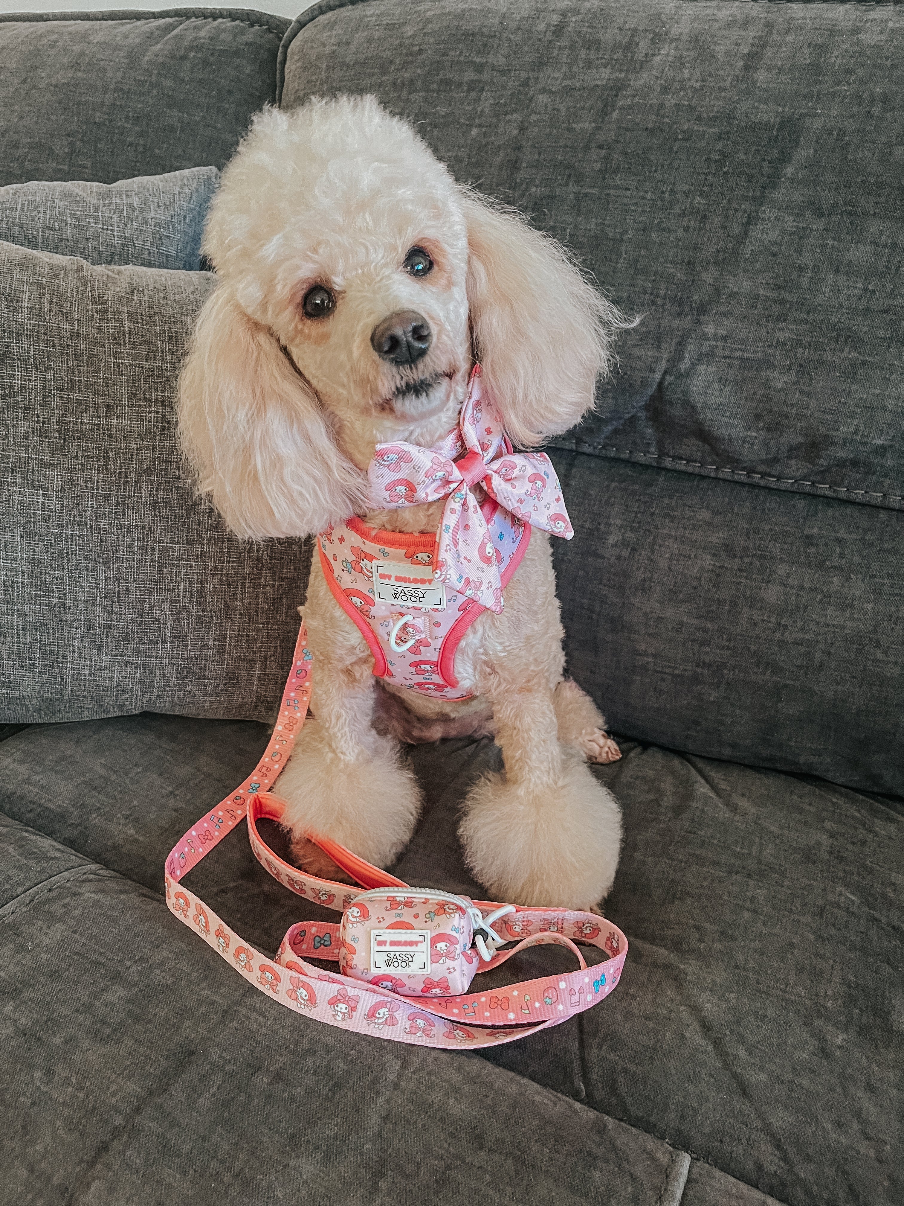 Dog Four Piece Bundle - My Melody™