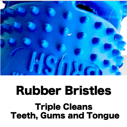 Large Natural Rubber Bone Toothbrush Toy Over 25 Lbs