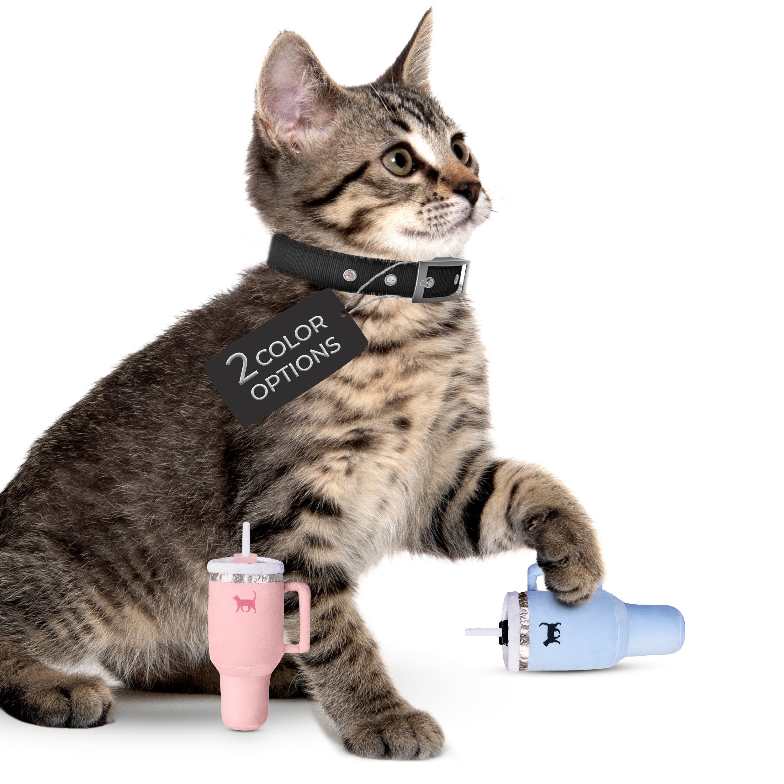 Kitty Cup Cat Tumbler Toy with Catnip & Crinkle Paper- Ideal Cat Birthday Gift