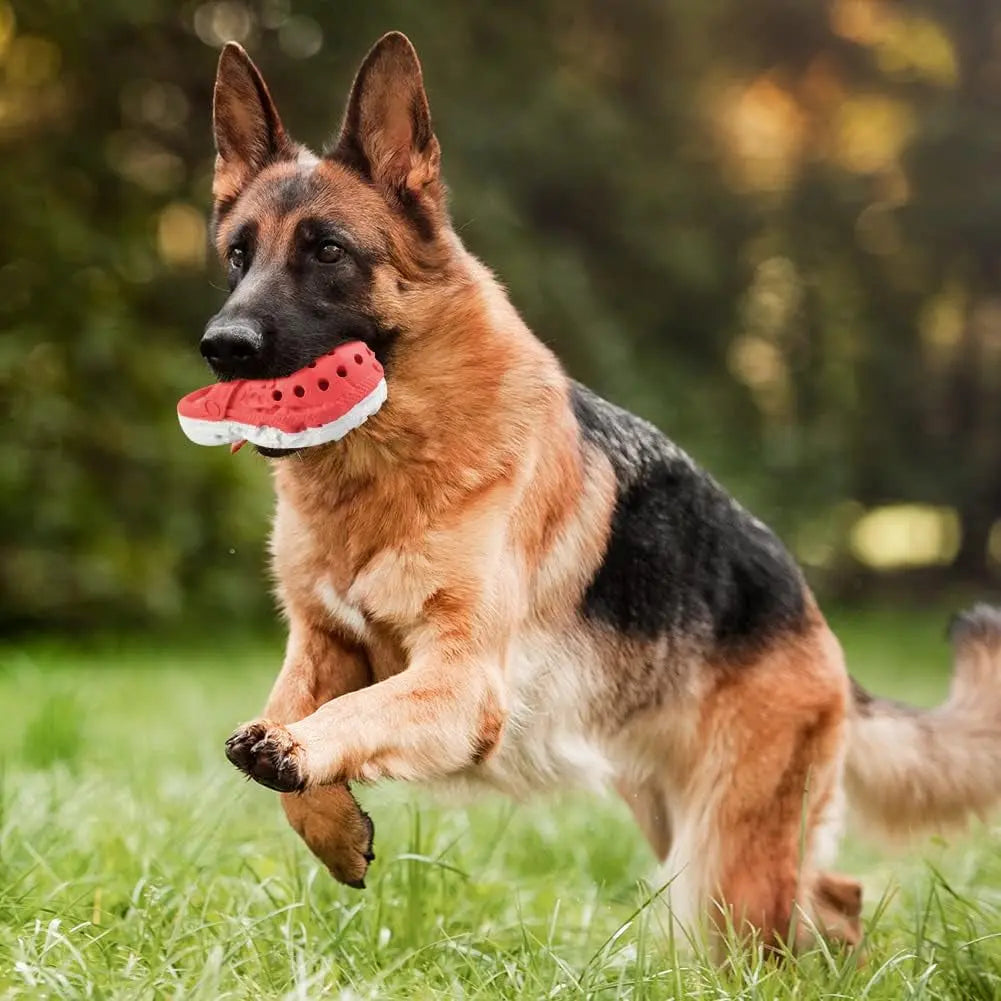 Indestructible Dog Shoe Chew Toy for Aggressive Chewers Rubber