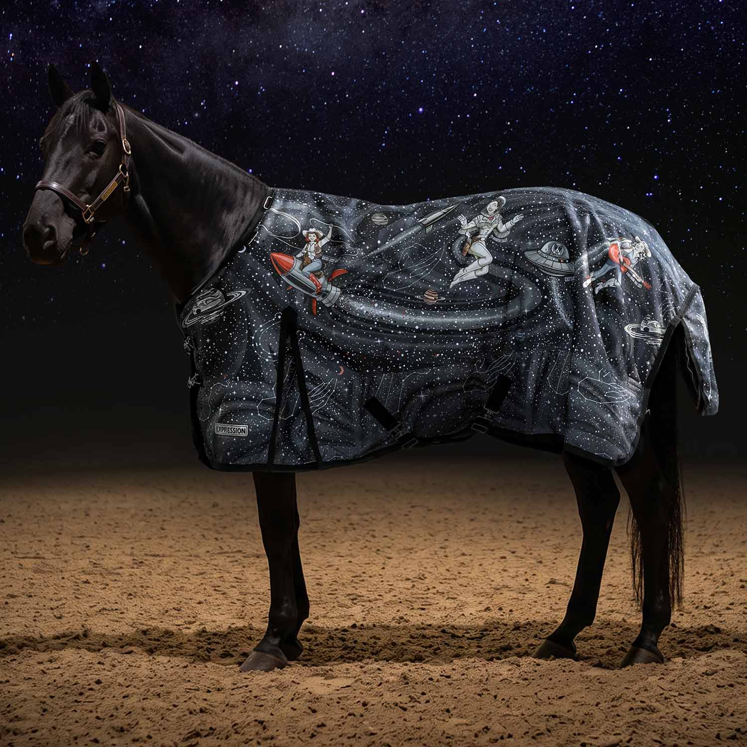 Jeffers Expression 1200 Denier Standard Neck Horse Turnout Sheet, 0 Gram