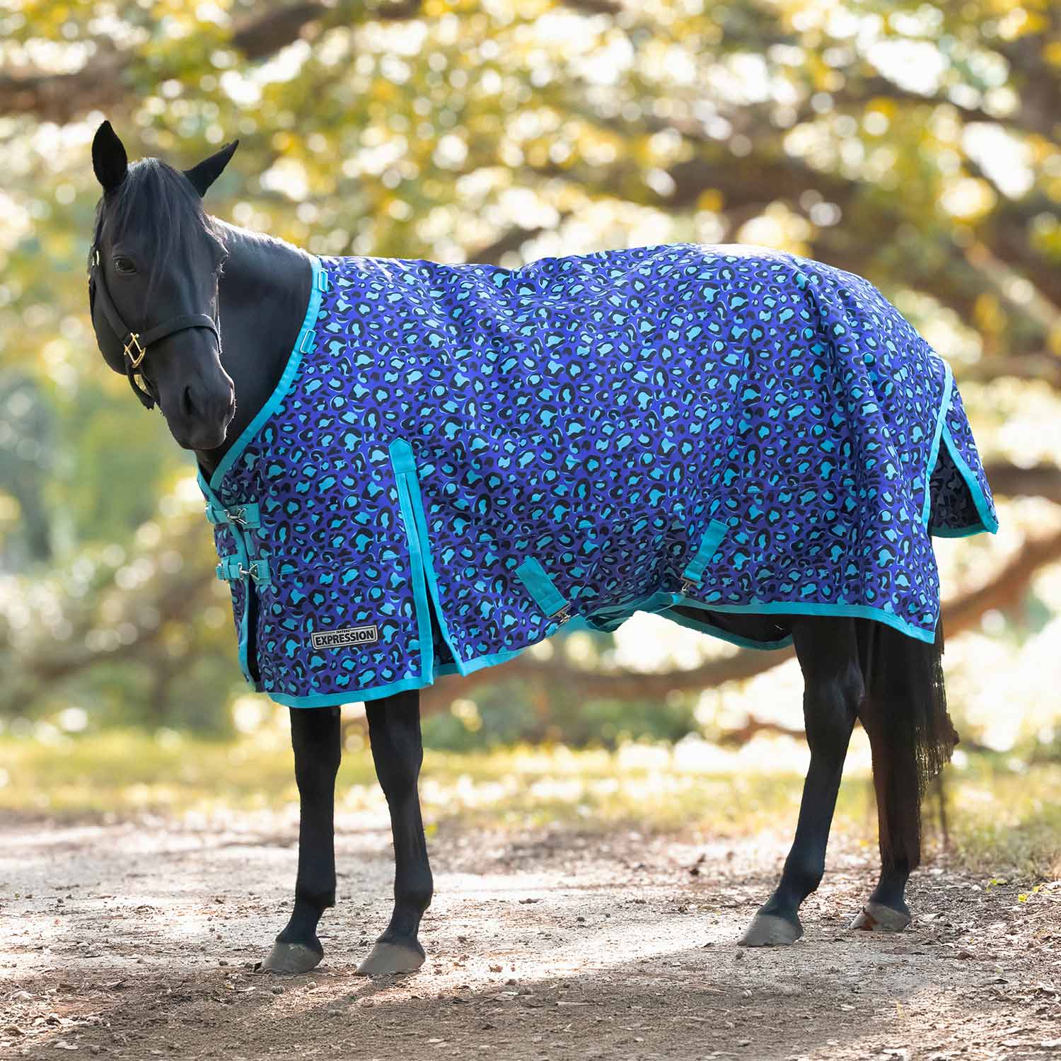 Jeffers Expression 1200 Denier Standard Neck Horse Turnout Sheet, 0 Gram
