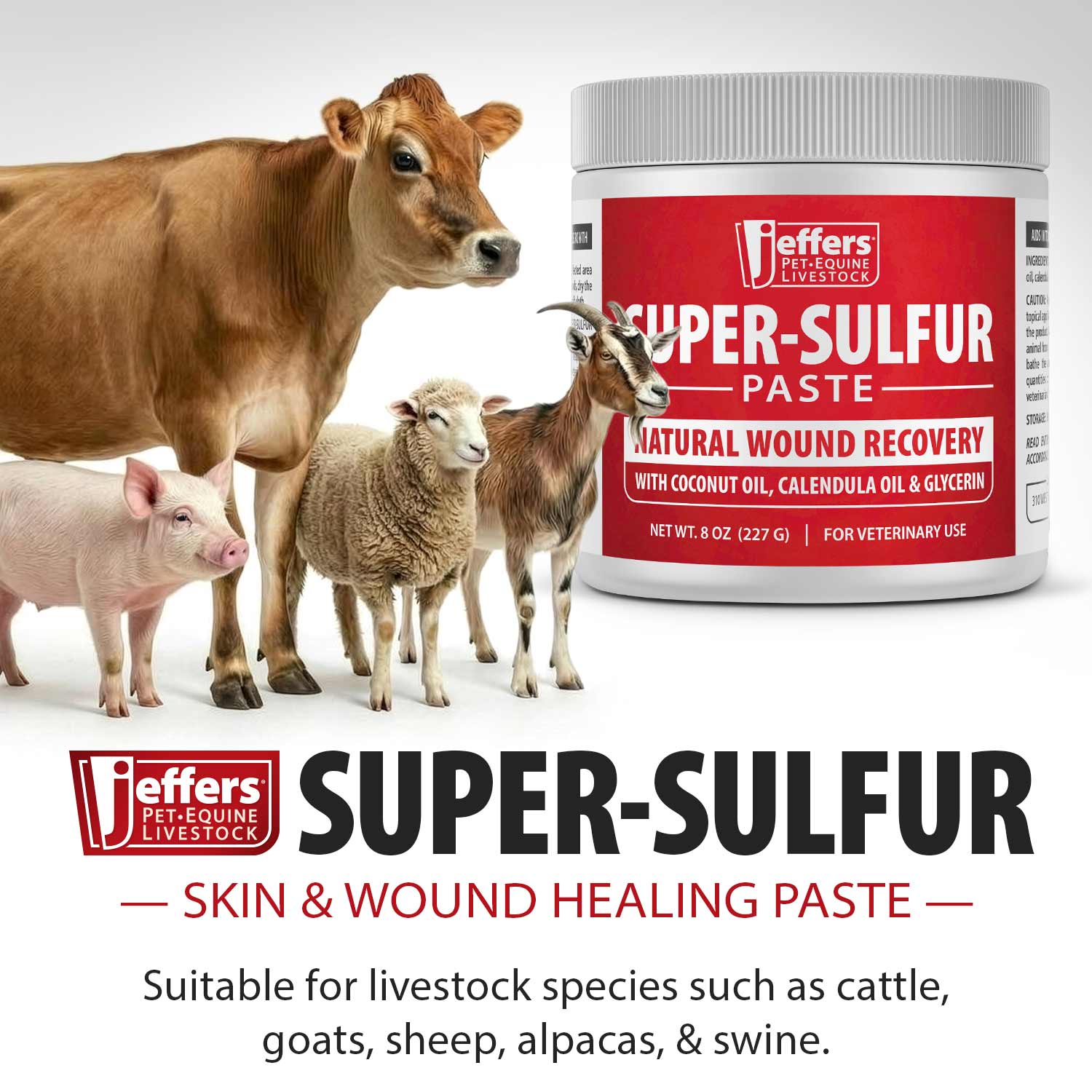Jeffers Super-Sulfur Skin & Wound Healing Paste for Pets, Horses, & Livestock