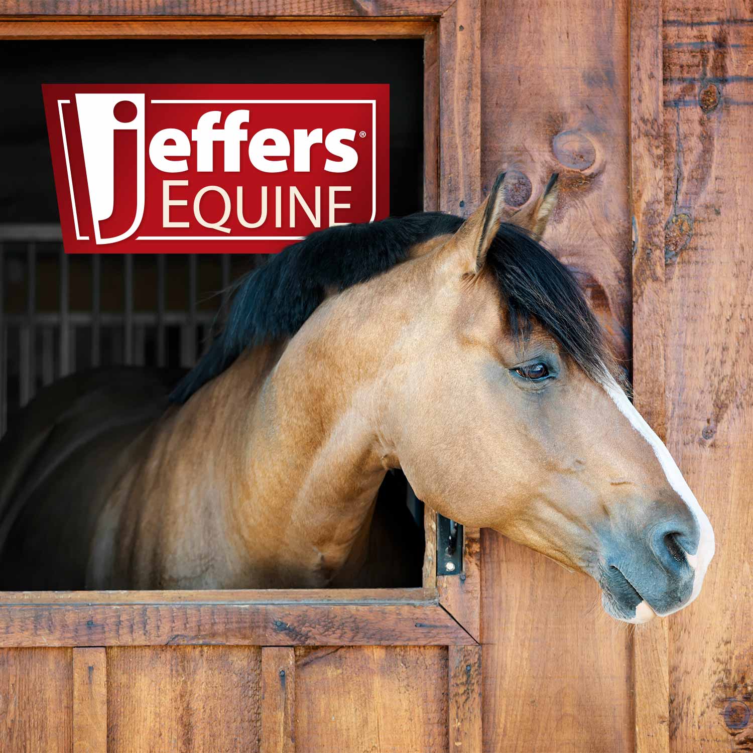 Jeffers Horse Grooming Fetlock Shears, Stainless Steel