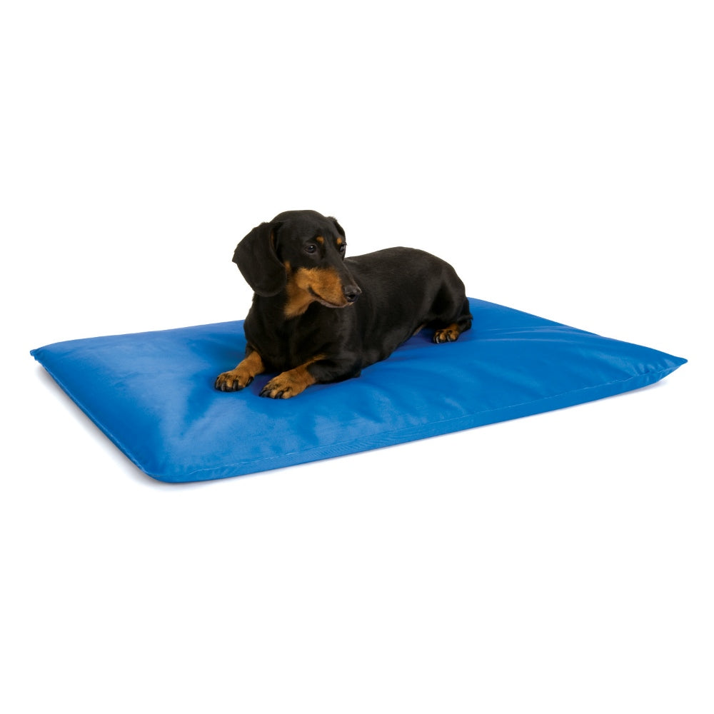 Cool Bed Iii Small Blue 17Inch  X 24Inch  X 1.5Inch 