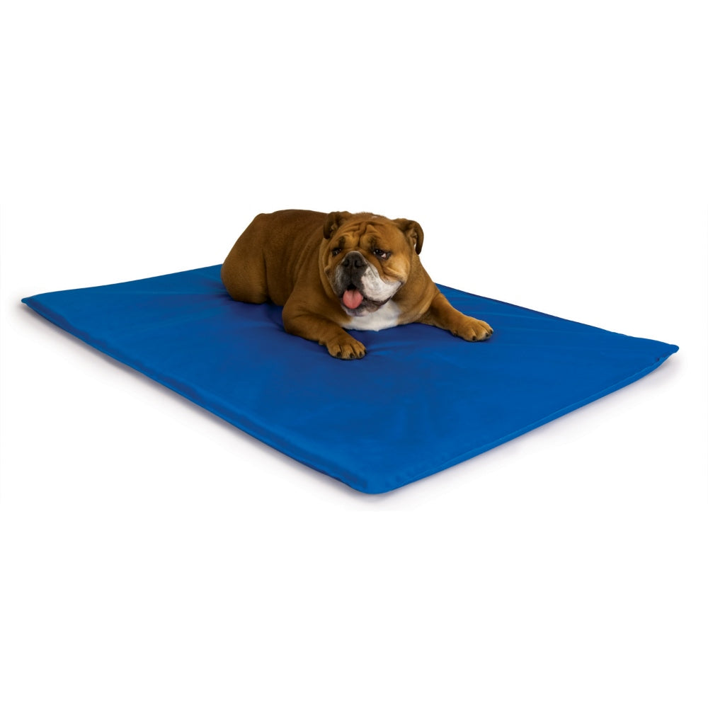 Cool Bed Iii Medium Blue 22Inch  X 32Inch  X 1.5Inch 