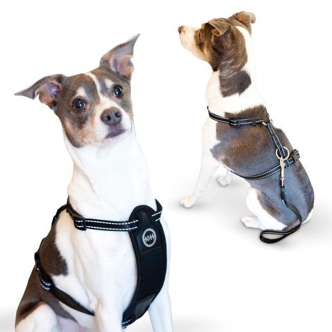 Travel Safety Harness Extra Large Black 24Inch  38Inch 
