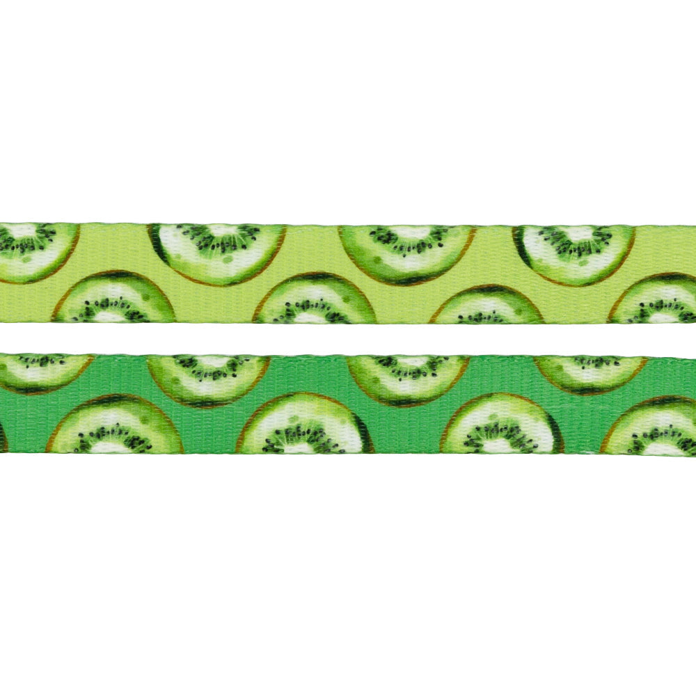 Dog Leash  - Kiwi Krazy
