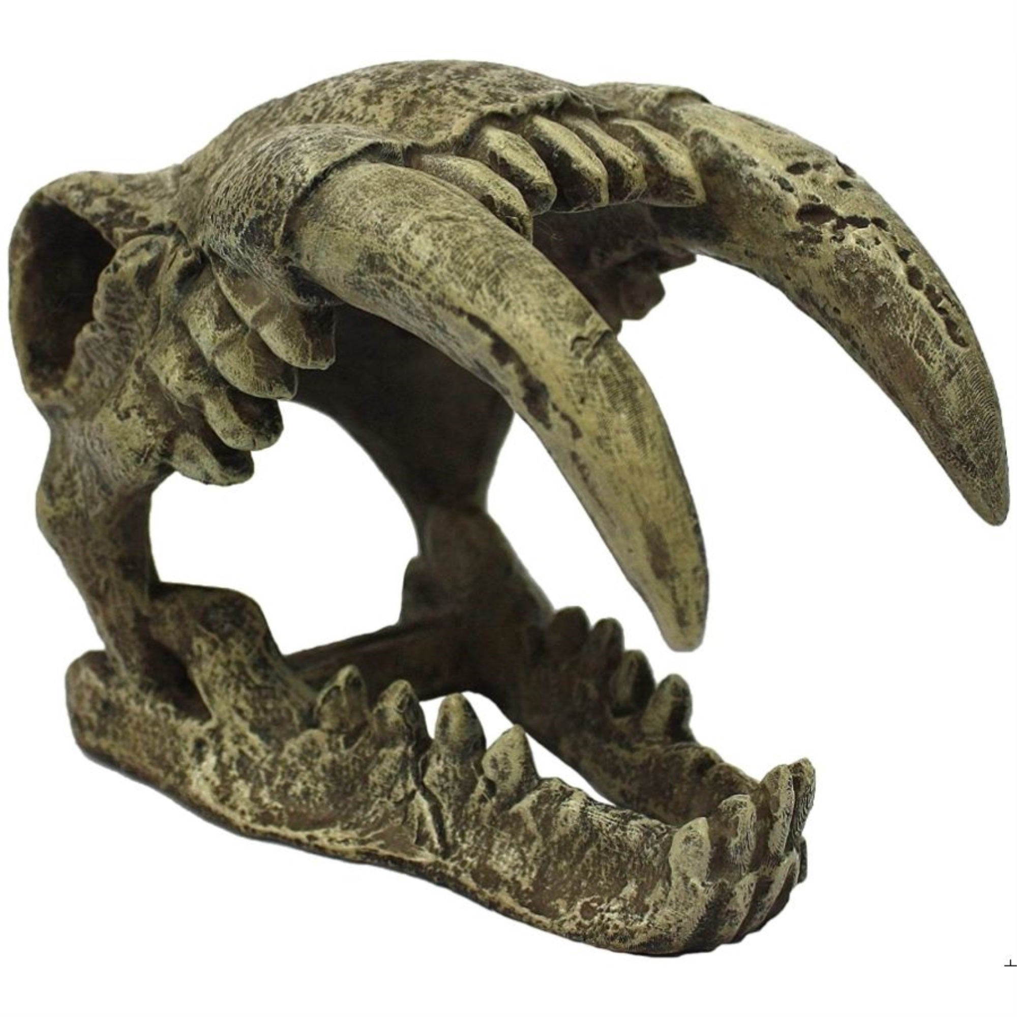 Komodo Saber Tooth Skull Terrarium Decoration