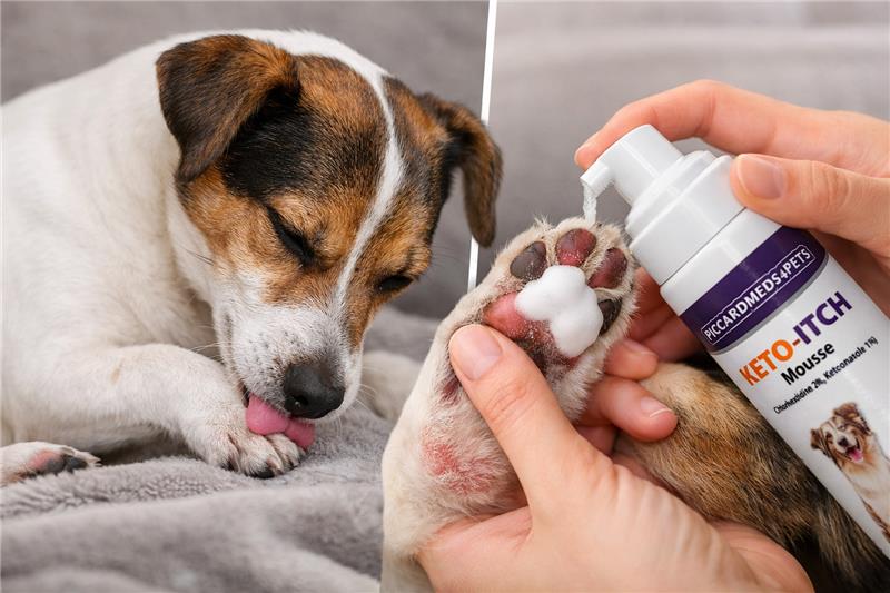 Piccardmeds4pets Keto-Itch Plus Antiseptic Mousse for Cats & Dogs 7 oz. + FREE Bandana!