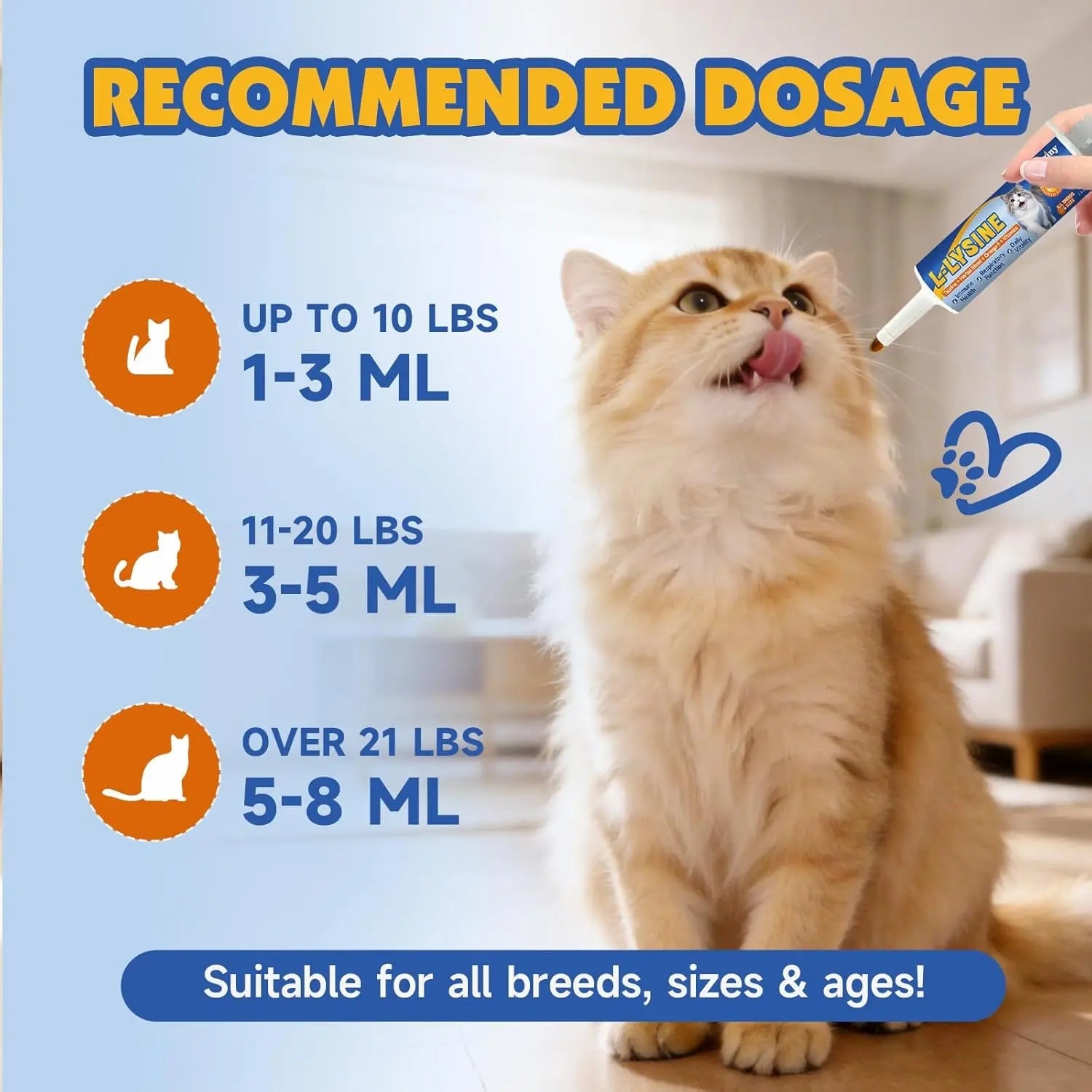 L-Lysine Paste for Cats Taurine Omega 3 Immune Eye Respiratory 60ml