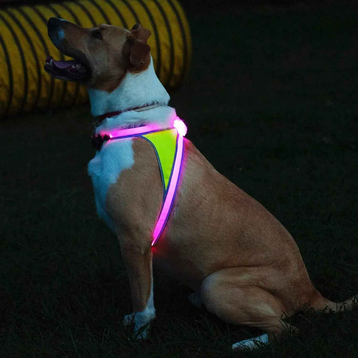 LED Light-Up Dog Harness – USB Rechargeable Reflective Safety Vest