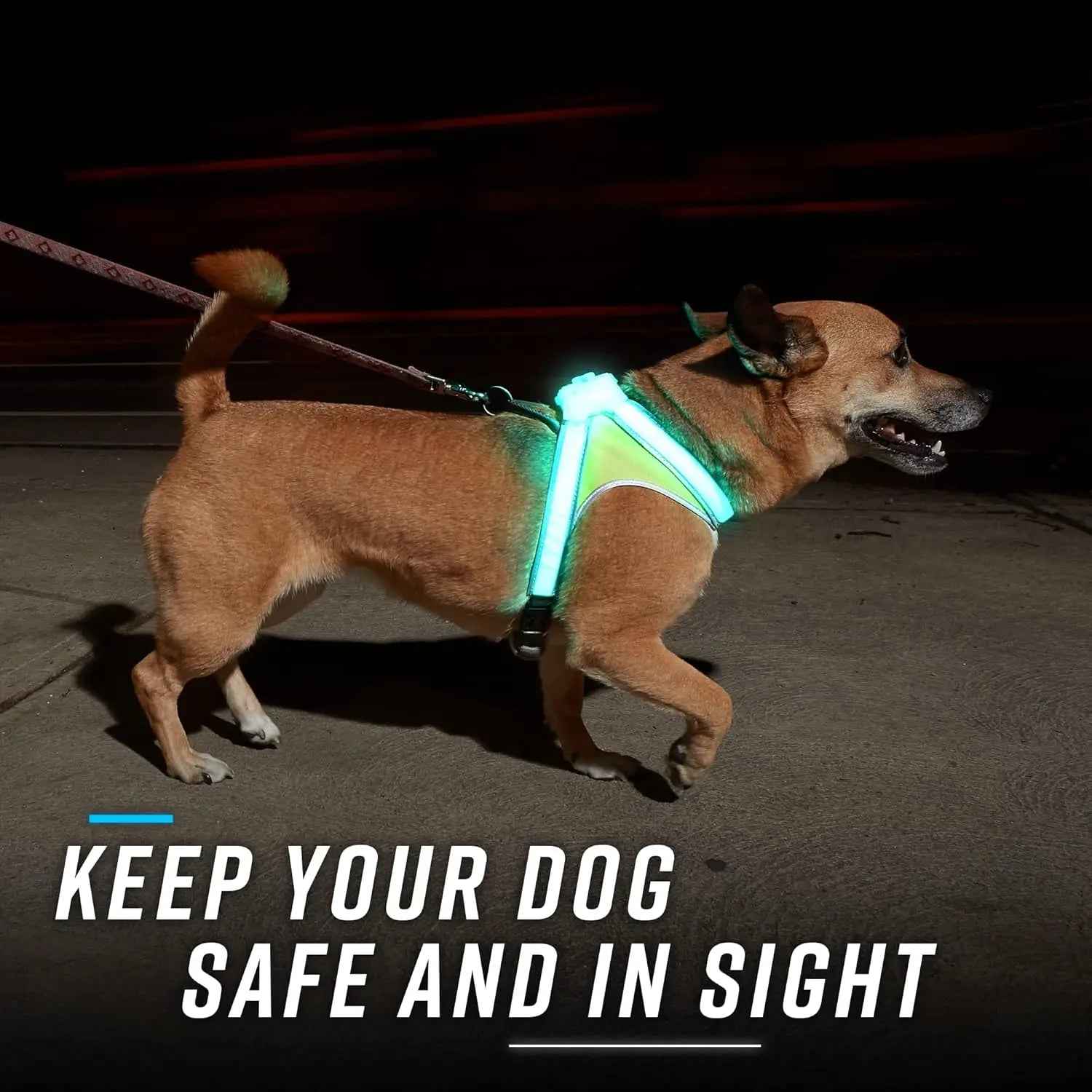 LED Light-Up Dog Harness – USB Rechargeable Reflective Safety Vest
