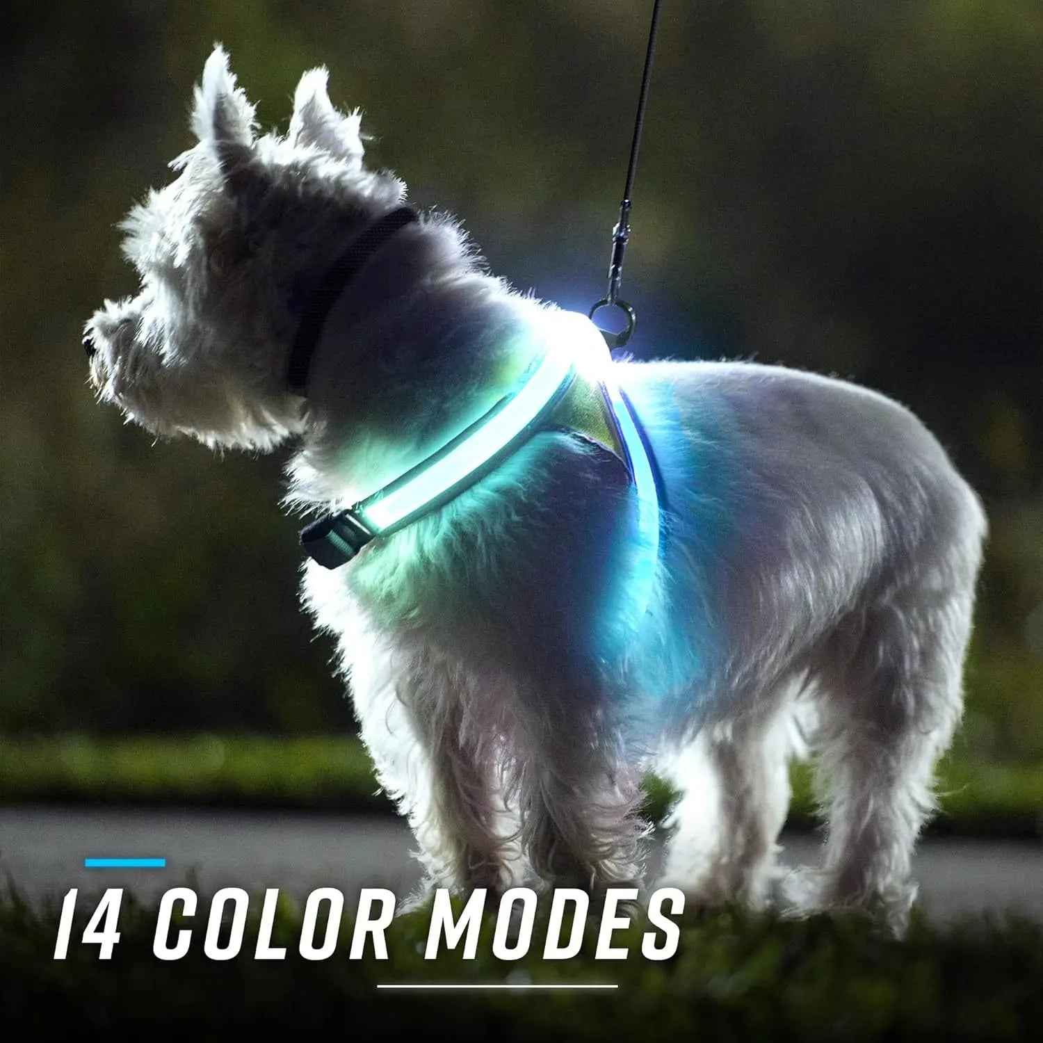 LED Light-Up Dog Harness – USB Rechargeable Reflective Safety Vest
